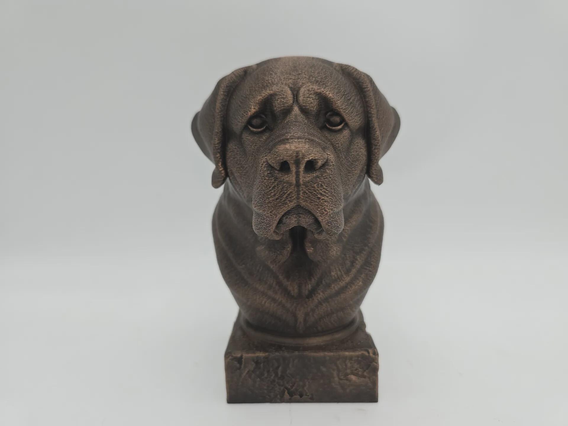 Bust of a saint bernhard bust bust dog statue - home decor dog lover gift him her handpainted ornament