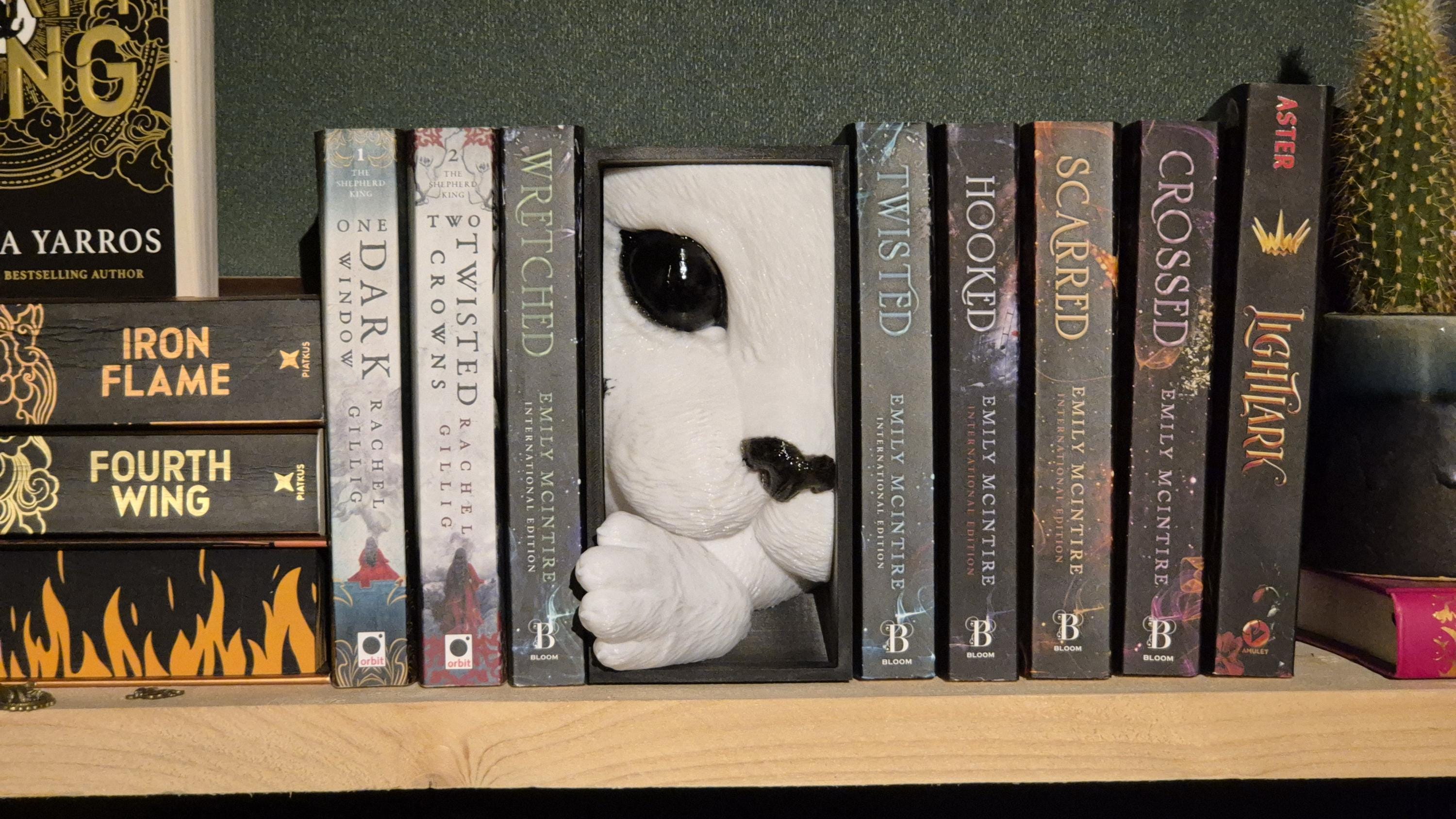 Whimsical Cat Lover's Book Nook for bookShelf