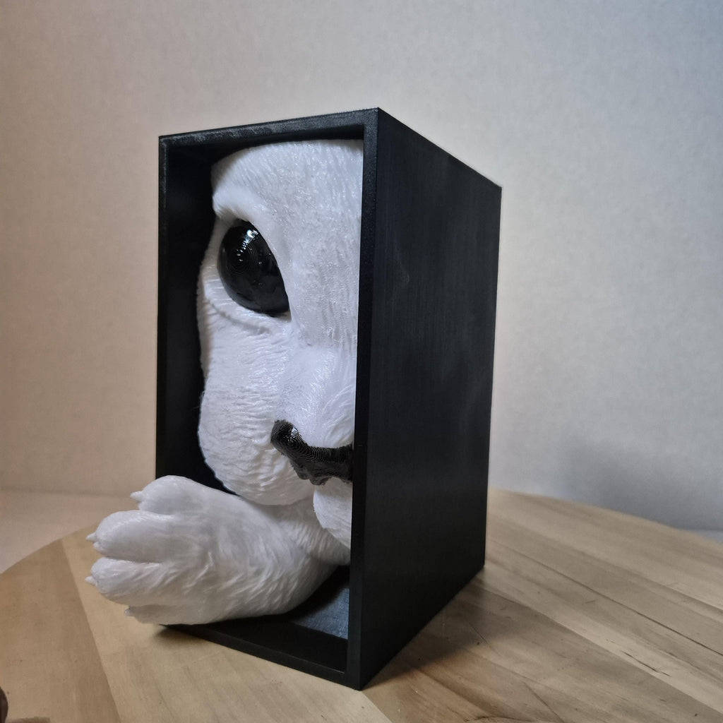 Whimsical Cat Lover's Book Nook for bookShelf