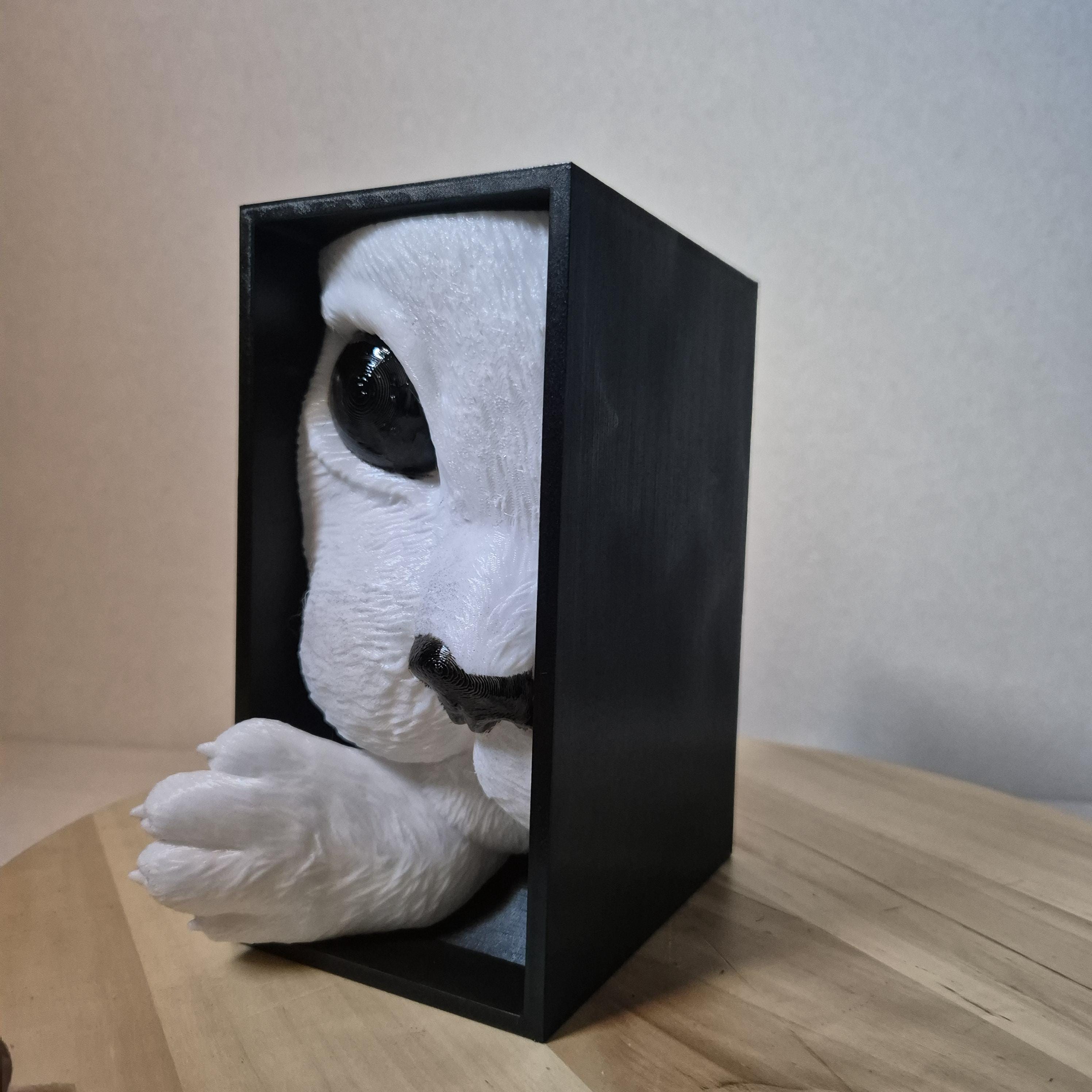 Whimsical Cat Lover Book Nook for bookShelf