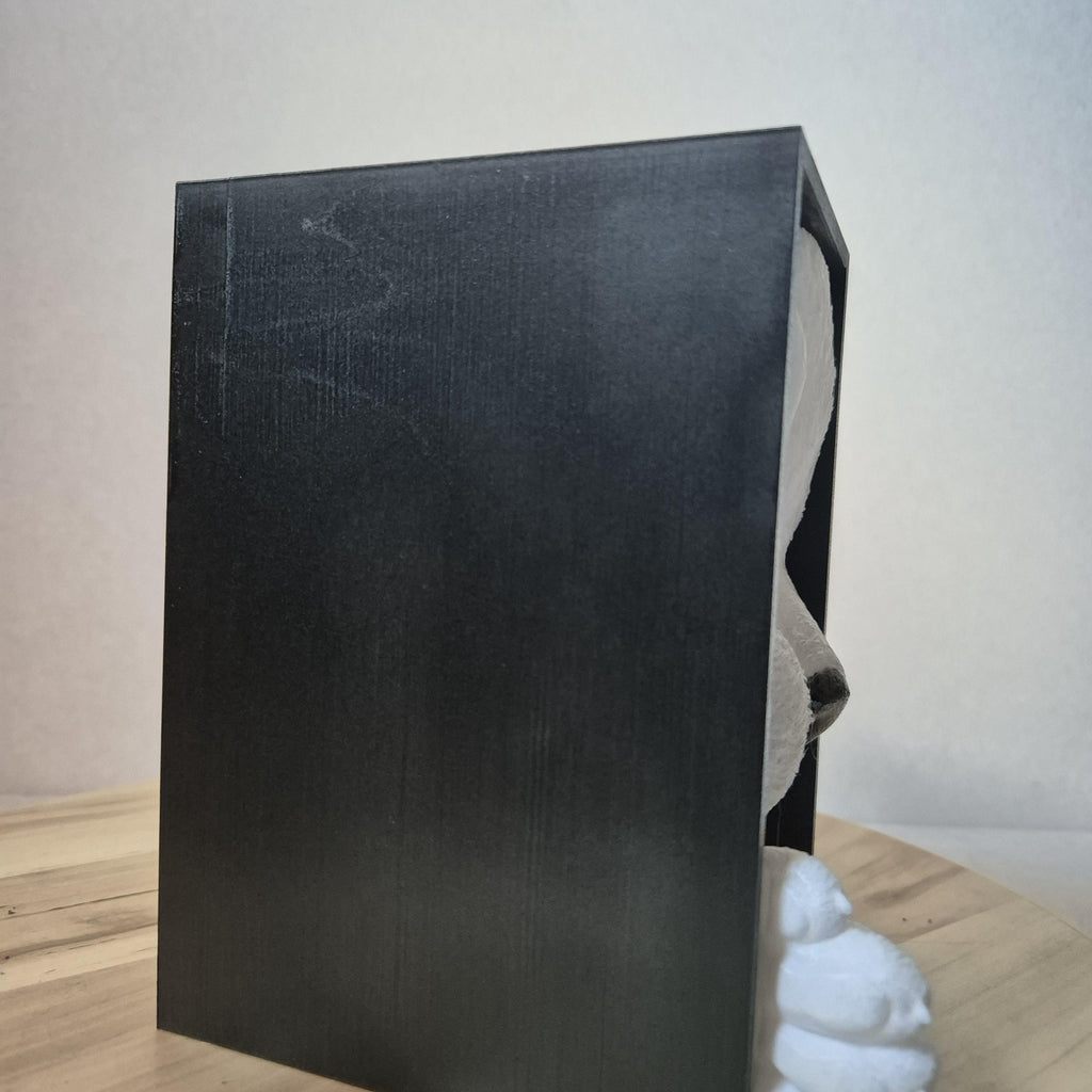 Whimsical Cat Lover's Book Nook for bookShelf