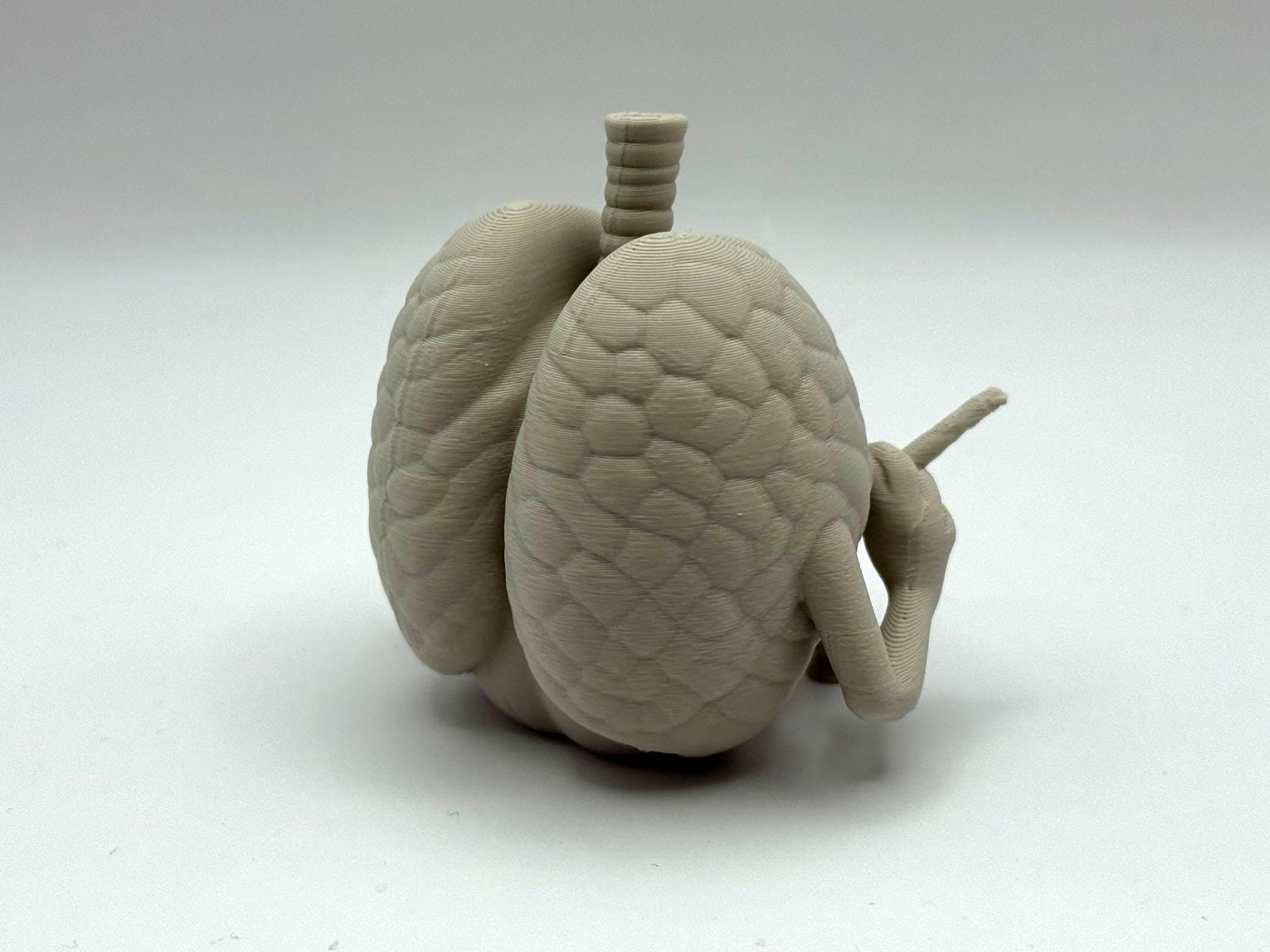 Quit Smoking Gift – Lung Figurine Stop Buddy | Stoptober Motivation Mascot | 3D Printed Anti Smoking Support & Desk Decor
