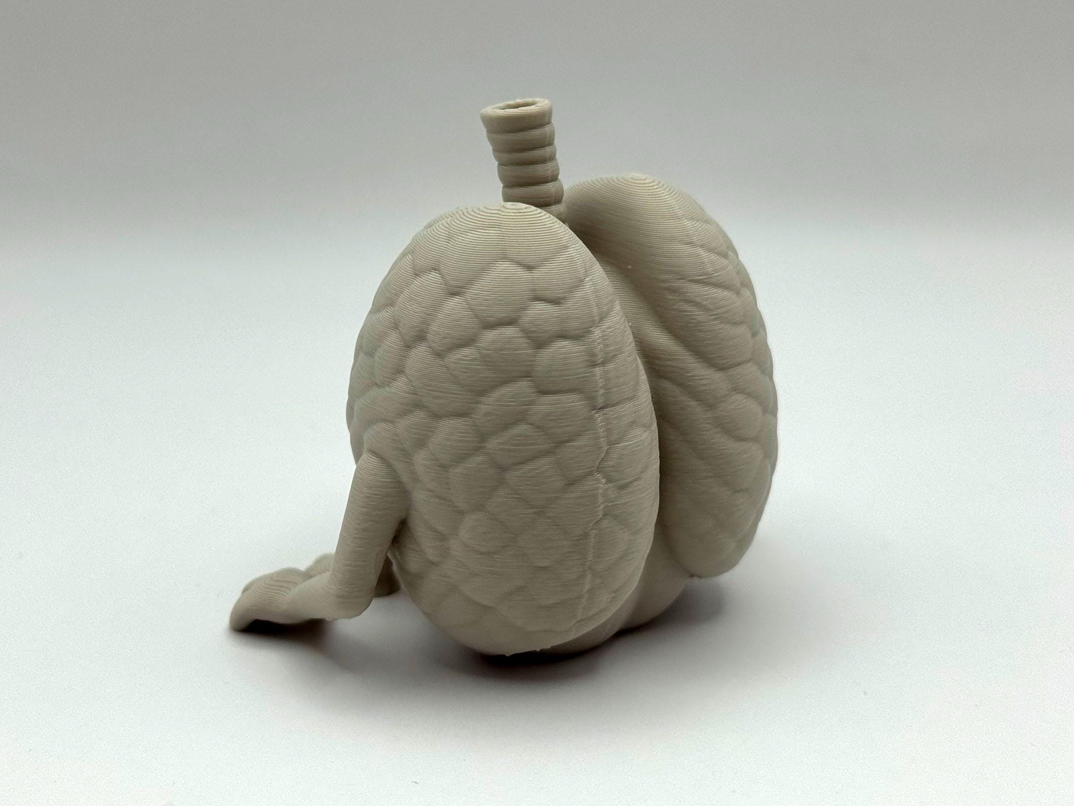 Quit Smoking Gift – Lung Figurine Stop Buddy | Stoptober Motivation Mascot | 3D Printed Anti Smoking Support & Desk Decor