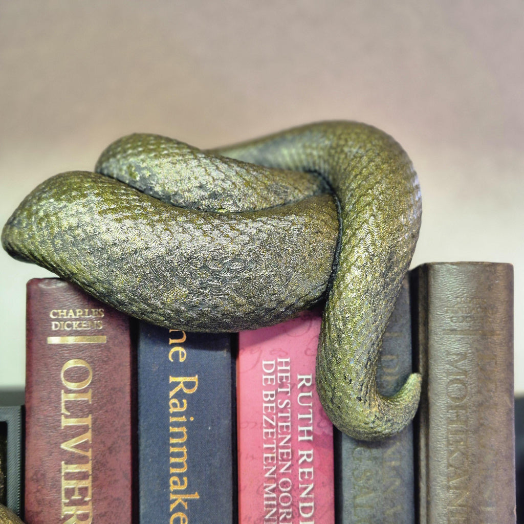 Unique Book Nook with Snake Bookdecor – A Must-Have for Book Lovers! Bookshelf decoration gift him her.