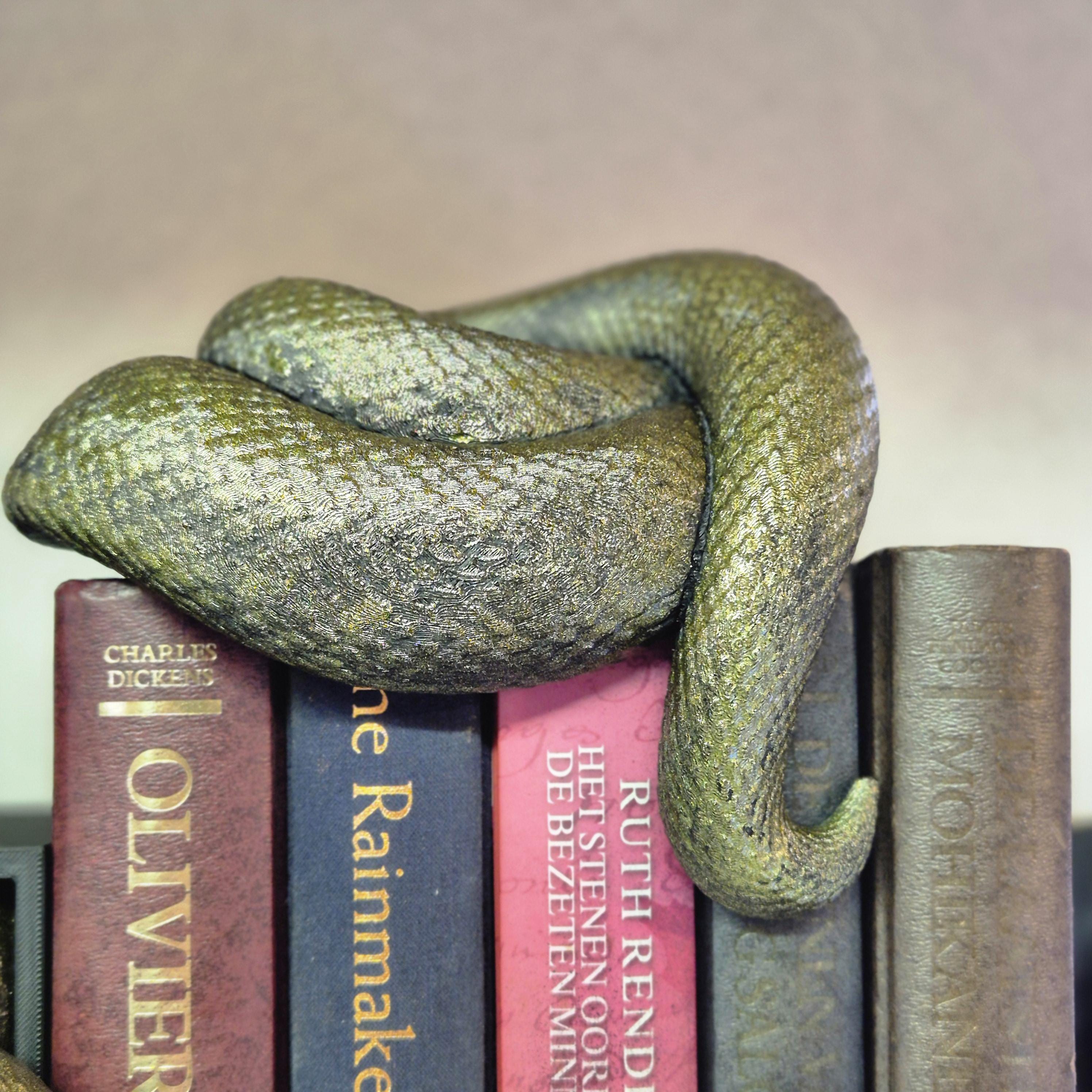 Unique Book Nook with Snake Bookdecor – A Must-Have for Book Lovers! Bookshelf decoration gift him her.