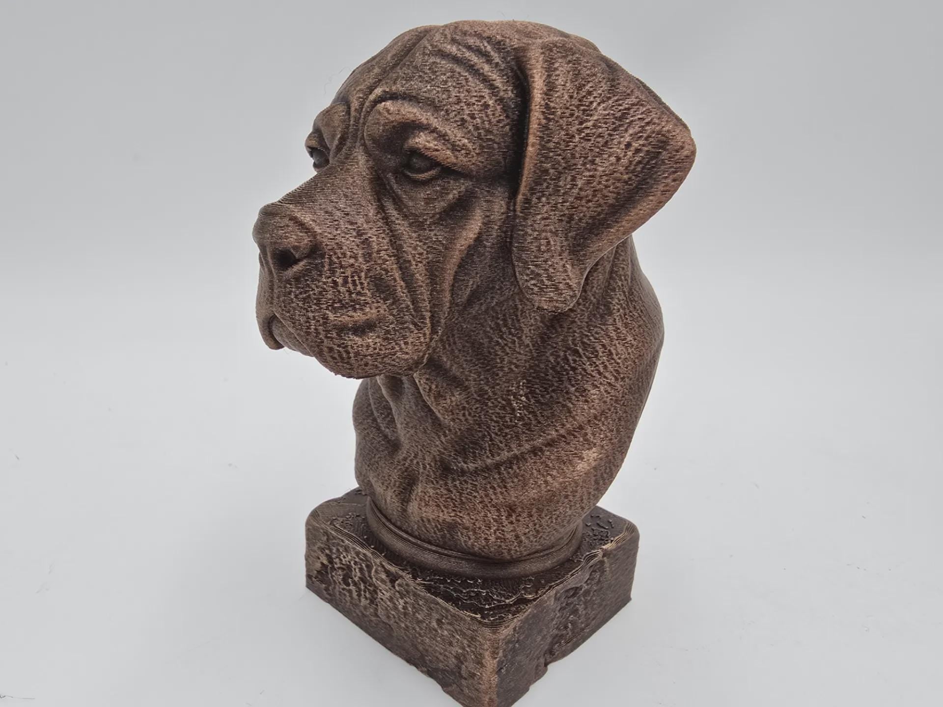 Bust of a Cane corso long ears dog statue - home decor dog lover handpainted ornament