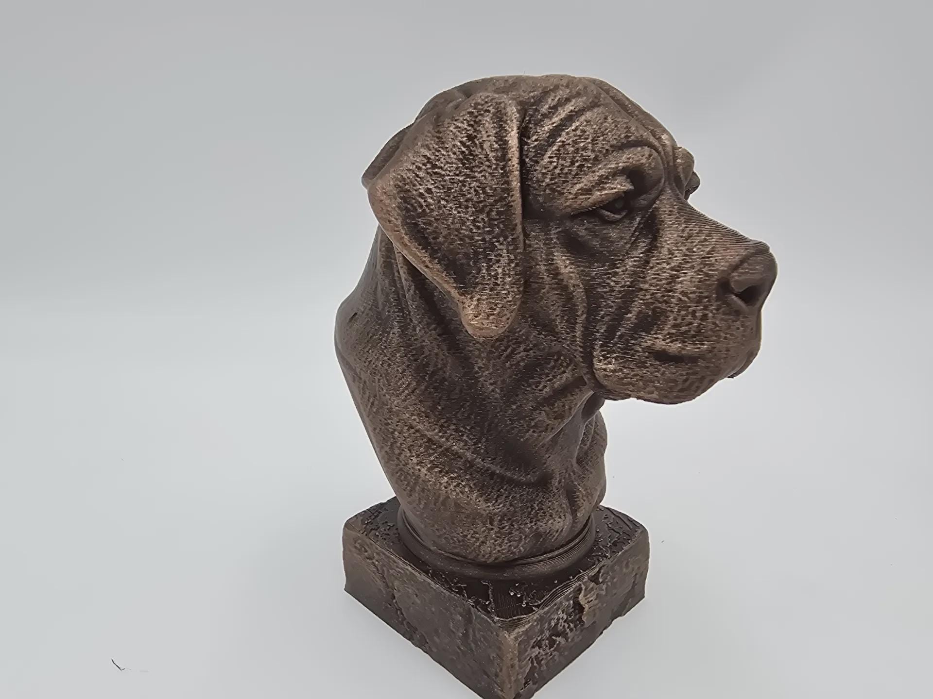 Bust of a Cane corso long ears dog statue - home decor dog lover handpainted ornament