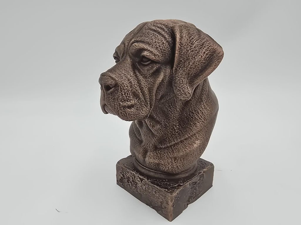 Bust of a Cane corso long ears dog statue - home decor dog lover handpainted ornament