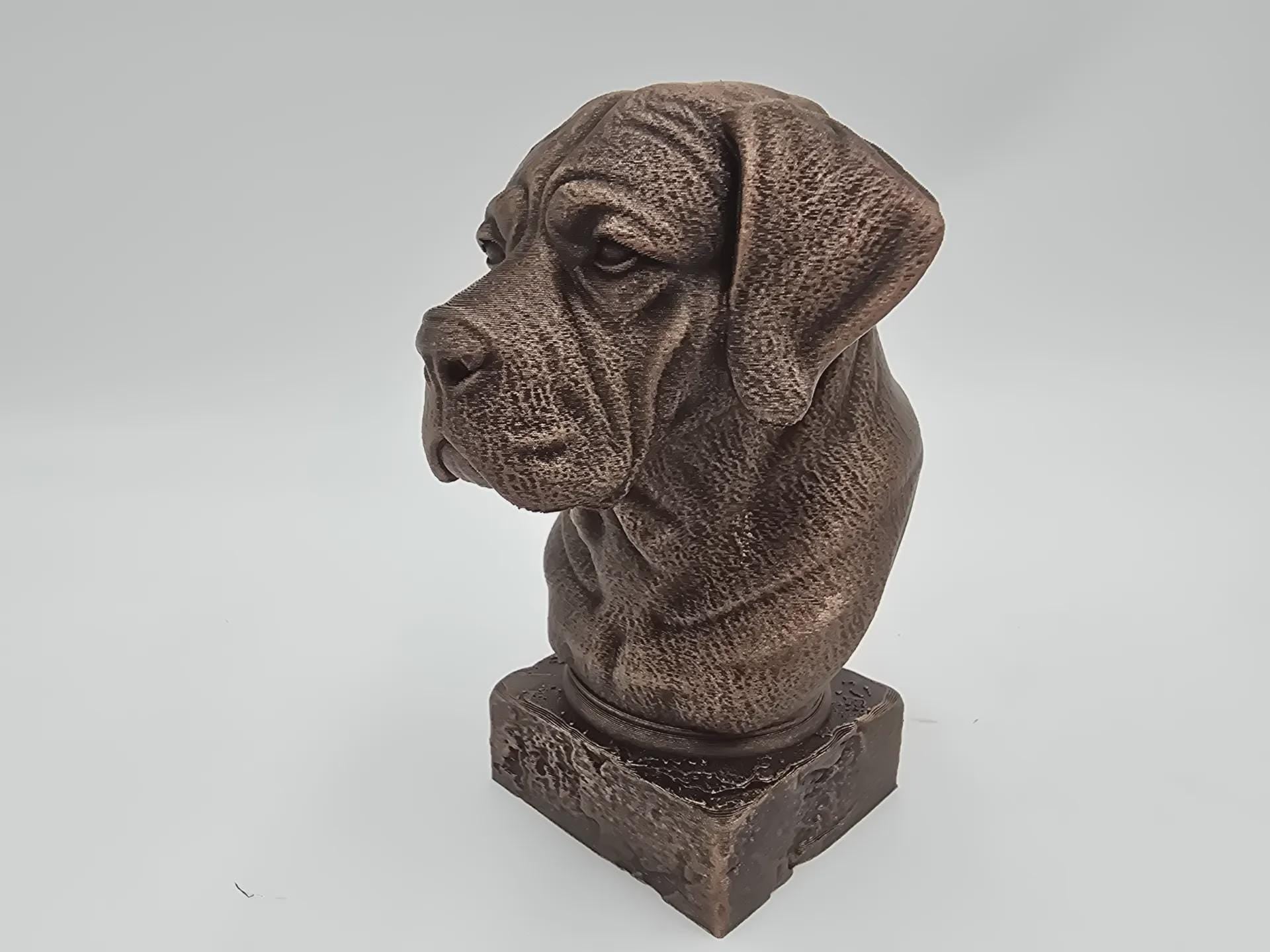 Bust of a Cane corso long ears dog statue - home decor dog lover handpainted ornament