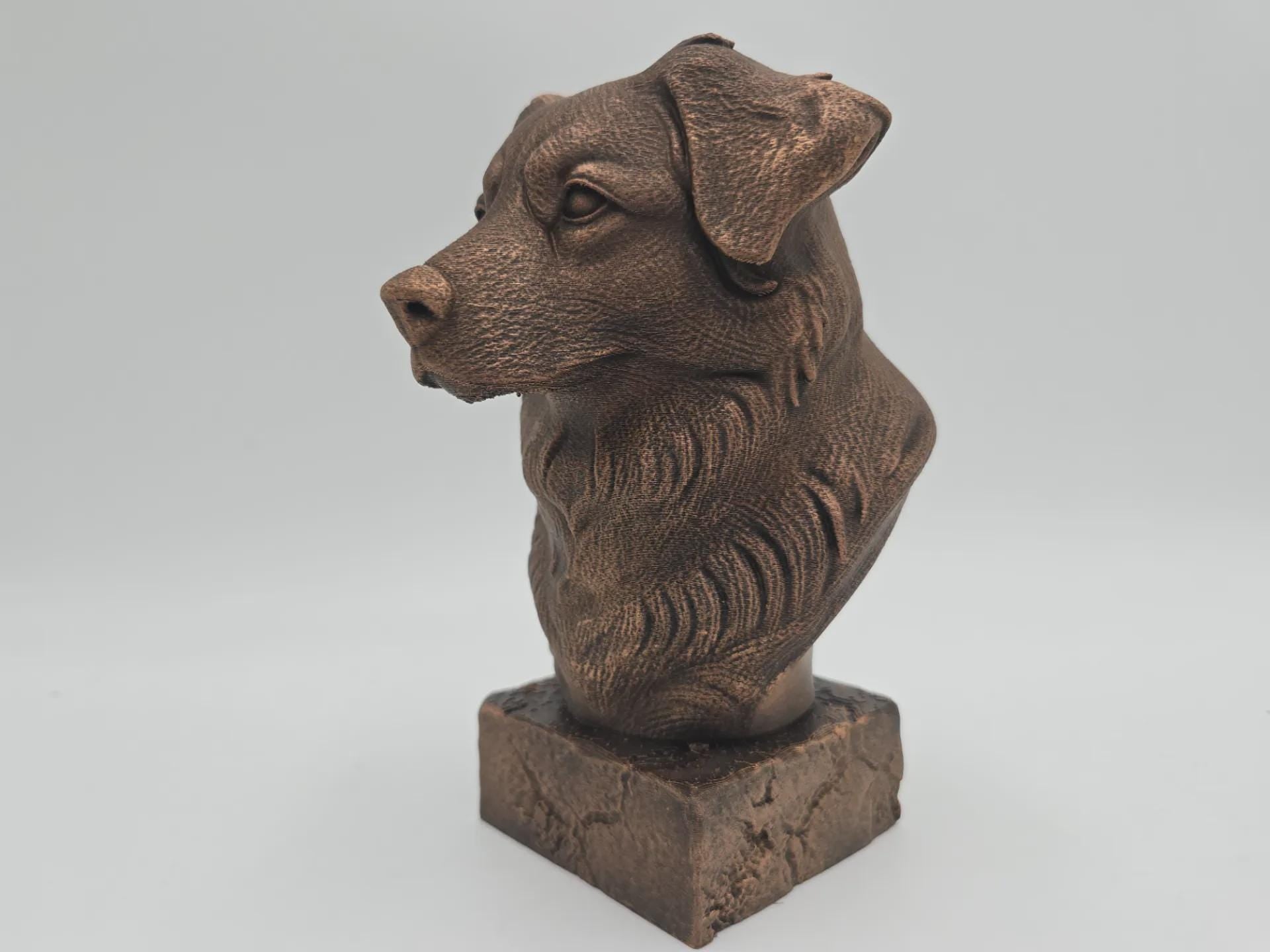 Bust of a Australien shepherd dog statue - home decor dog lover handpainted ornament