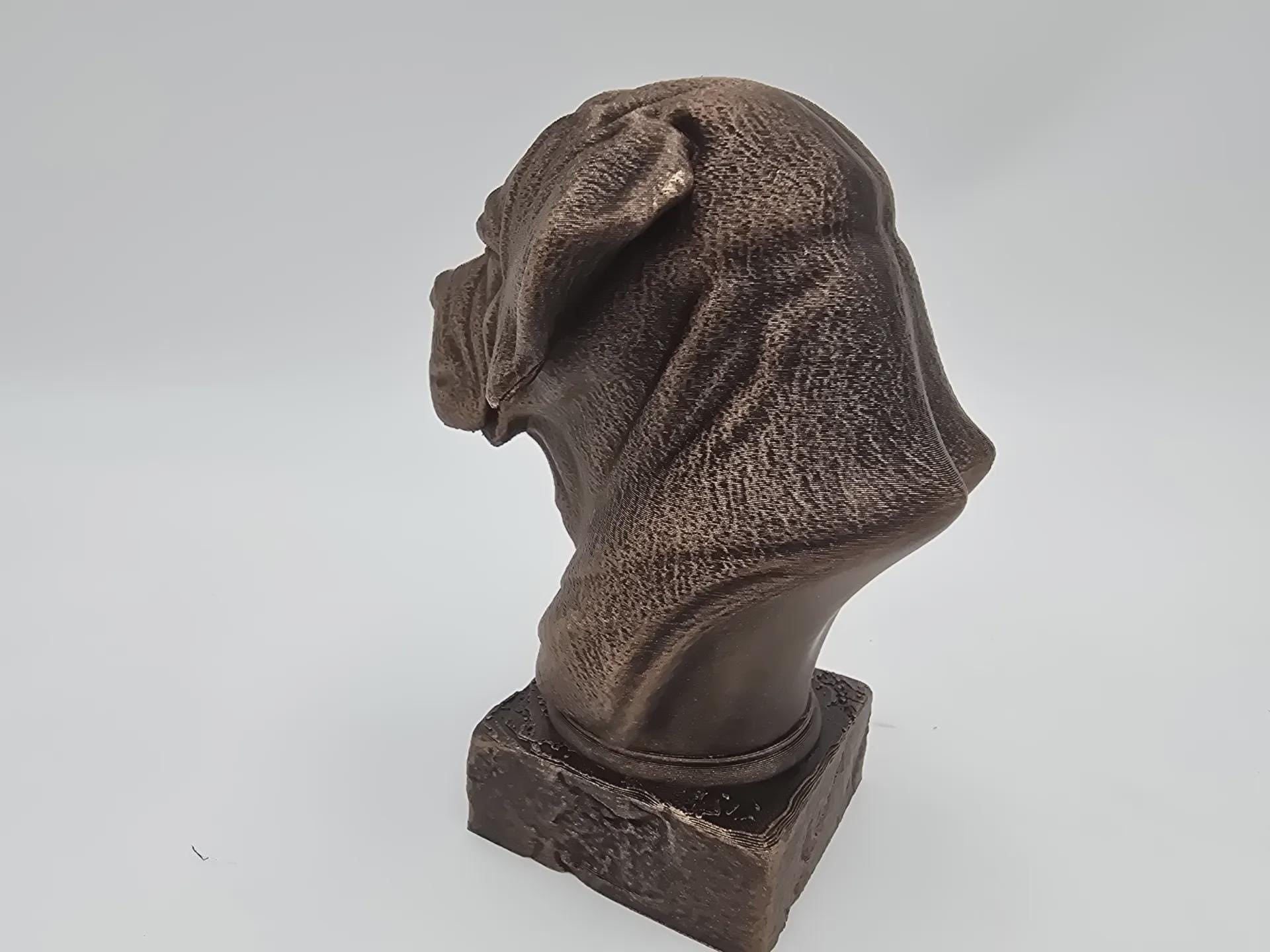 Bust of a Cane corso long ears dog statue - home decor dog lover handpainted ornament