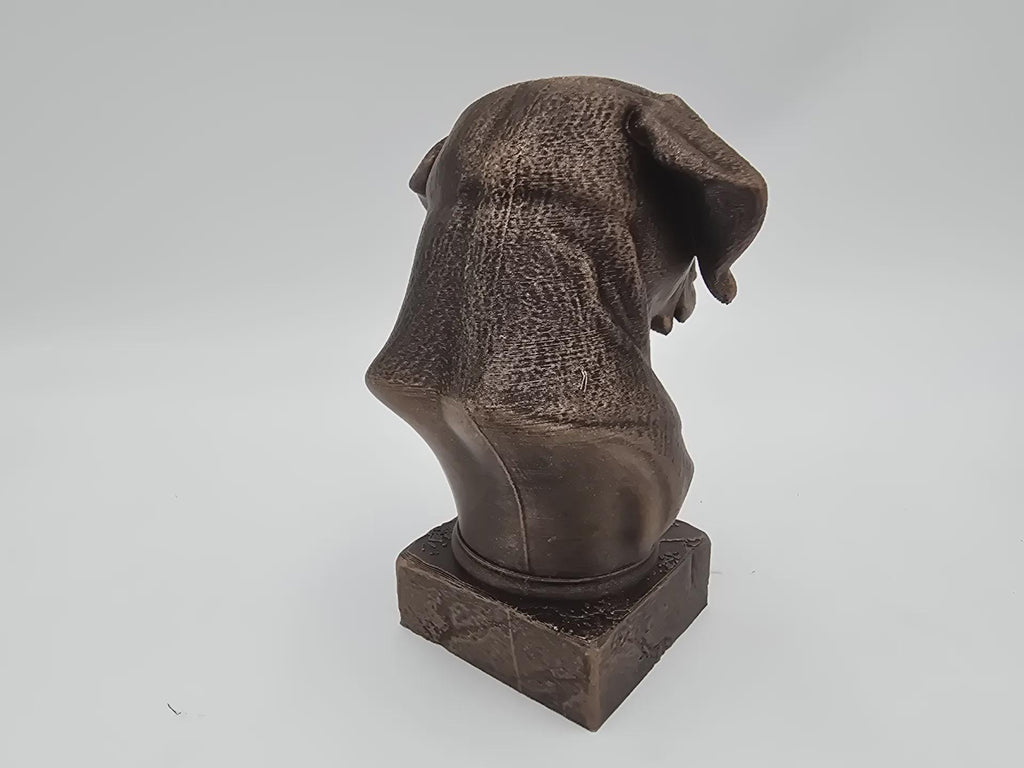 Bust of a Cane corso long ears dog statue - home decor dog lover handpainted ornament