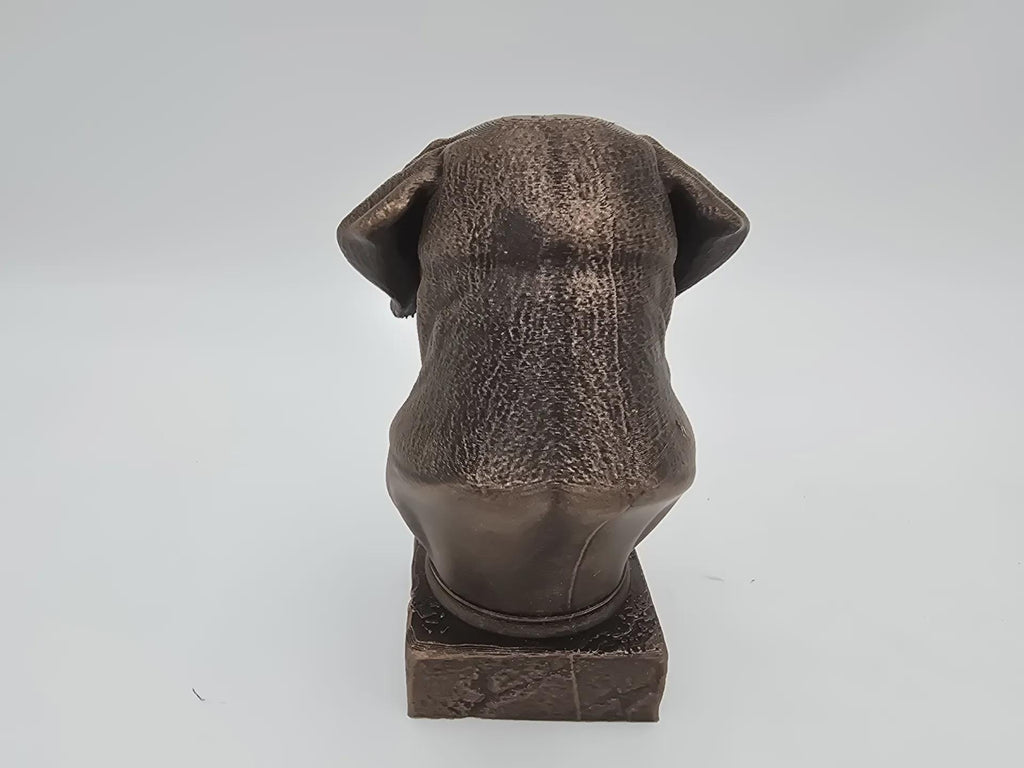 Bust of a Cane corso long ears dog statue - home decor dog lover handpainted ornament