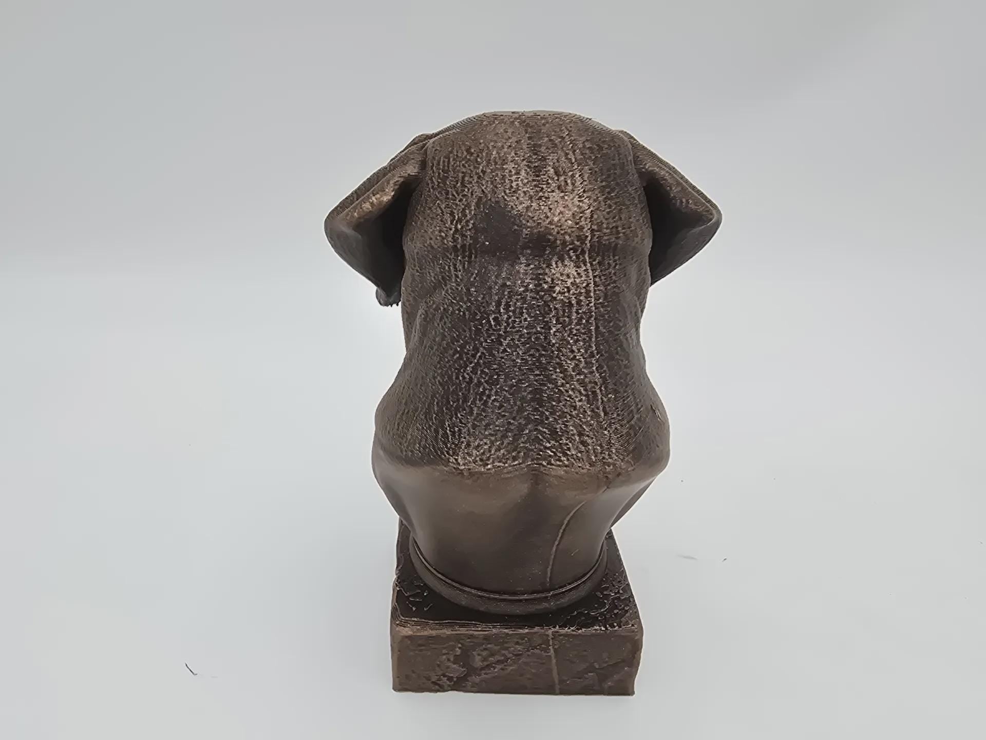 Bust of a Cane corso long ears dog statue - home decor dog lover handpainted ornament