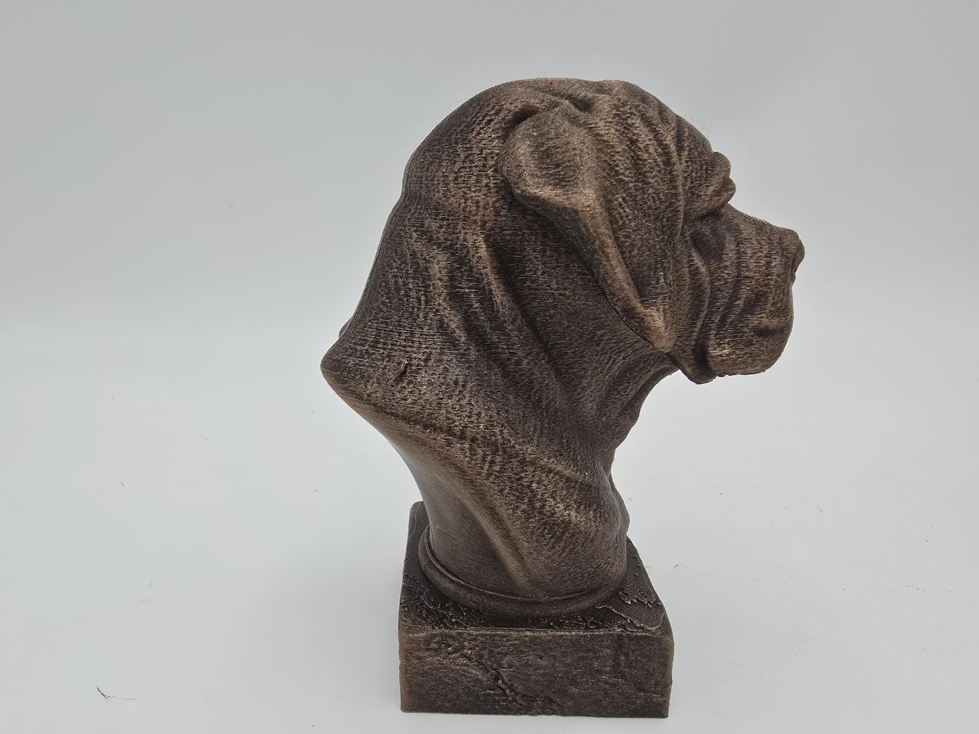 Bust of a Cane corso long ears dog statue - home decor dog lover handpainted ornament