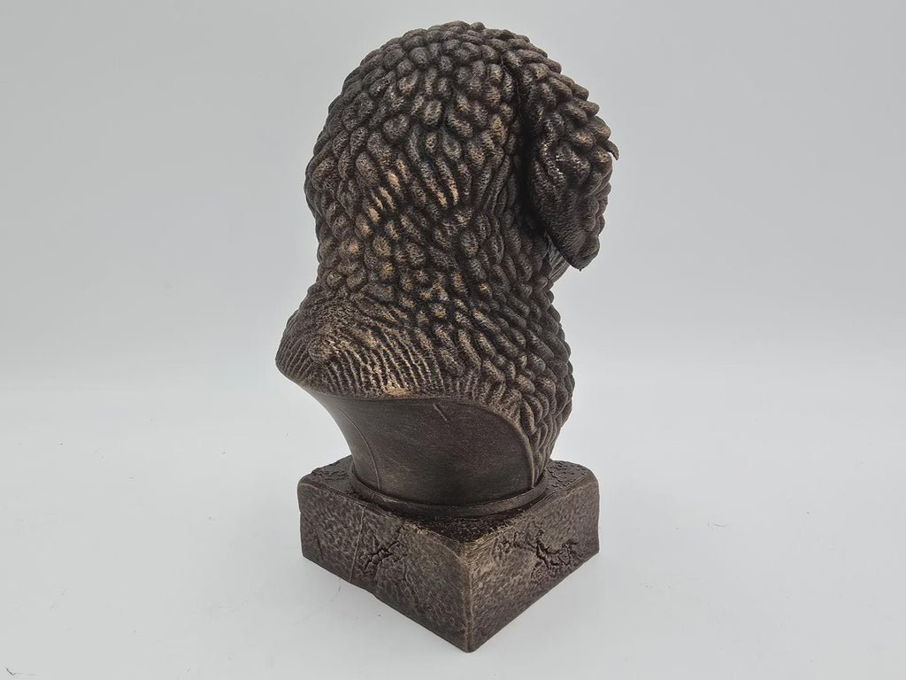 Bust of a spanish water bust bust dog statue - home decor dog lover gift him her handpainted