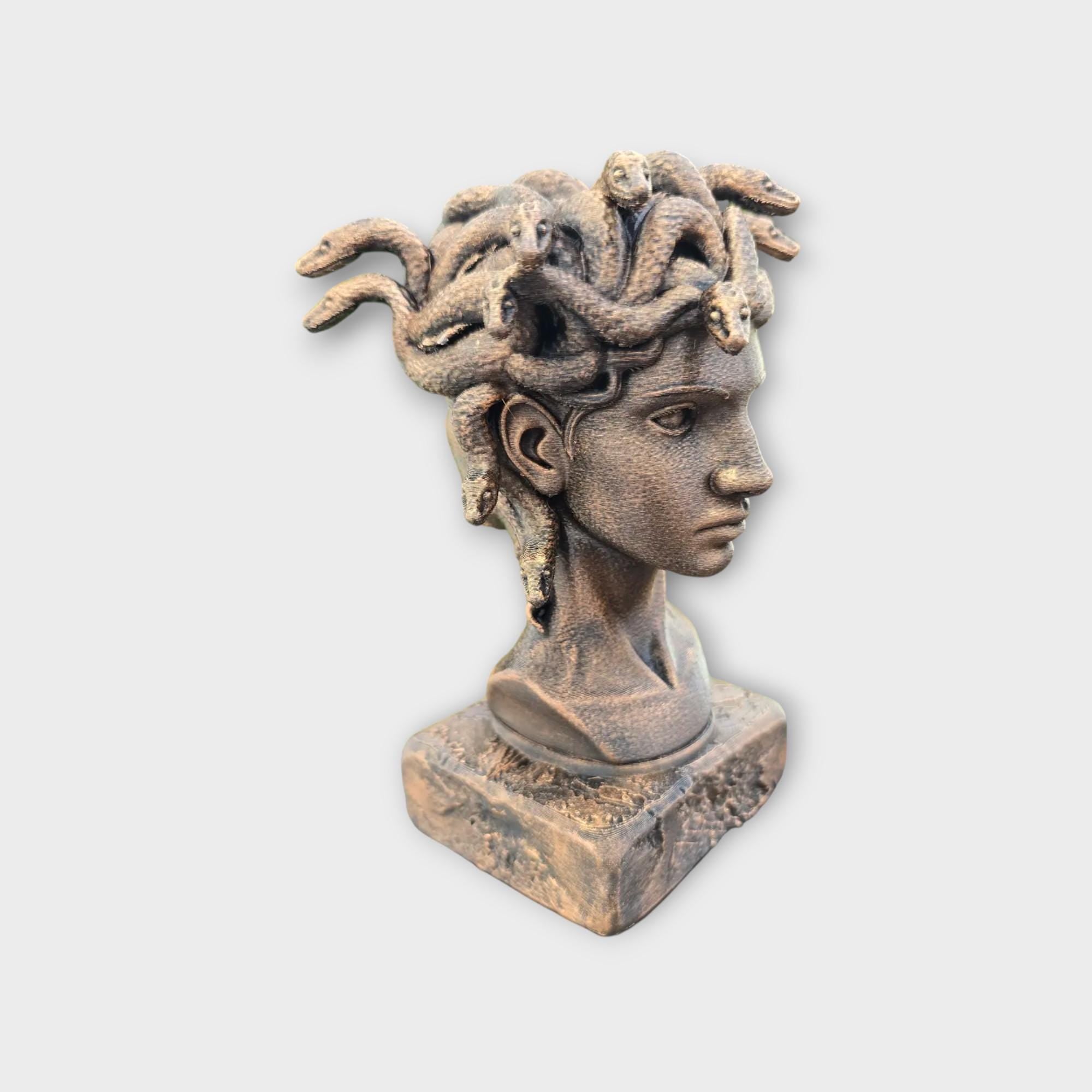 Bust of a Gorgon sisters statue - handpainted home decor mythical lover gift him her ornament