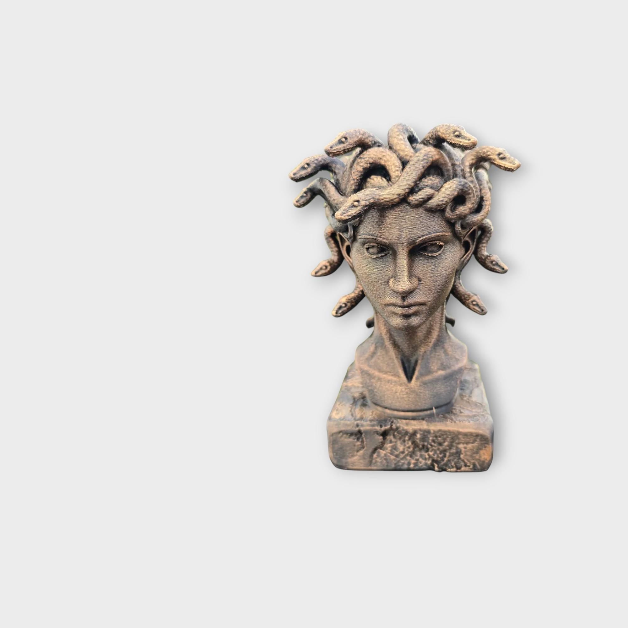 Bust of a Gorgon sisters statue - handpainted home decor mythical lover gift him her ornament