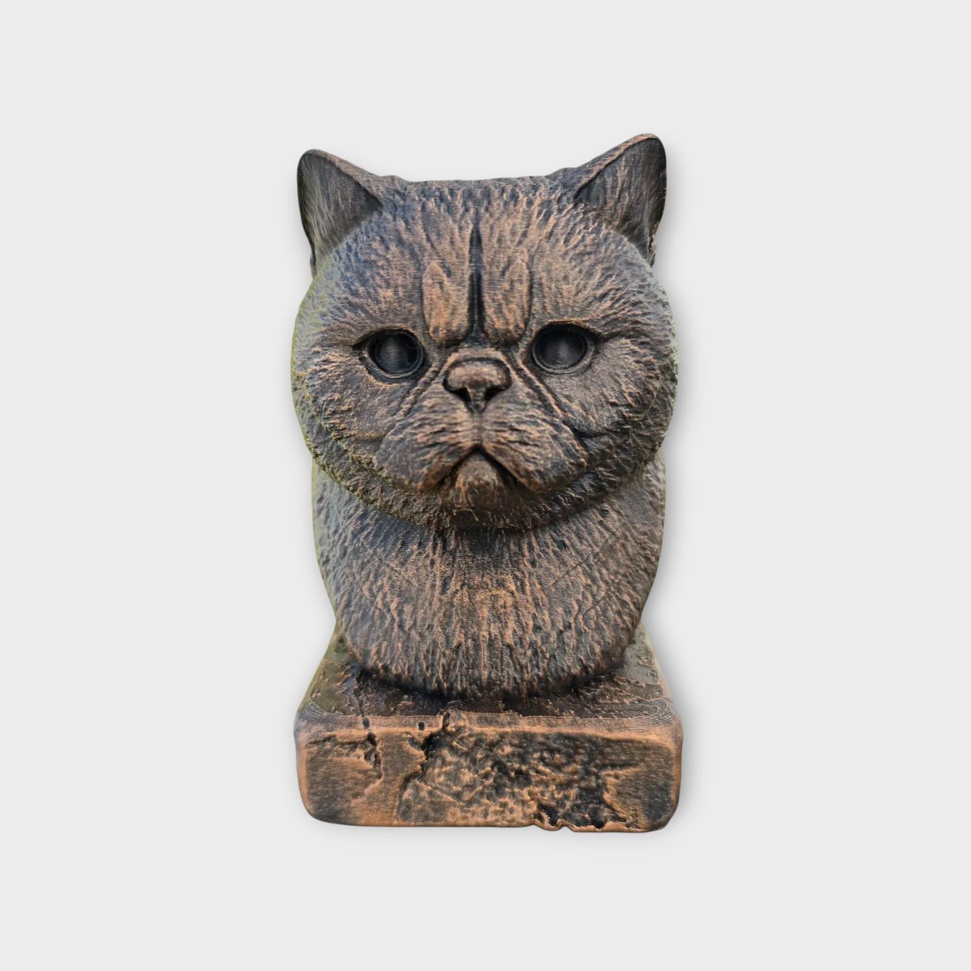 Bust of a exotic shorthair cat statue - home decor animal lover gift him her handpainted ornament