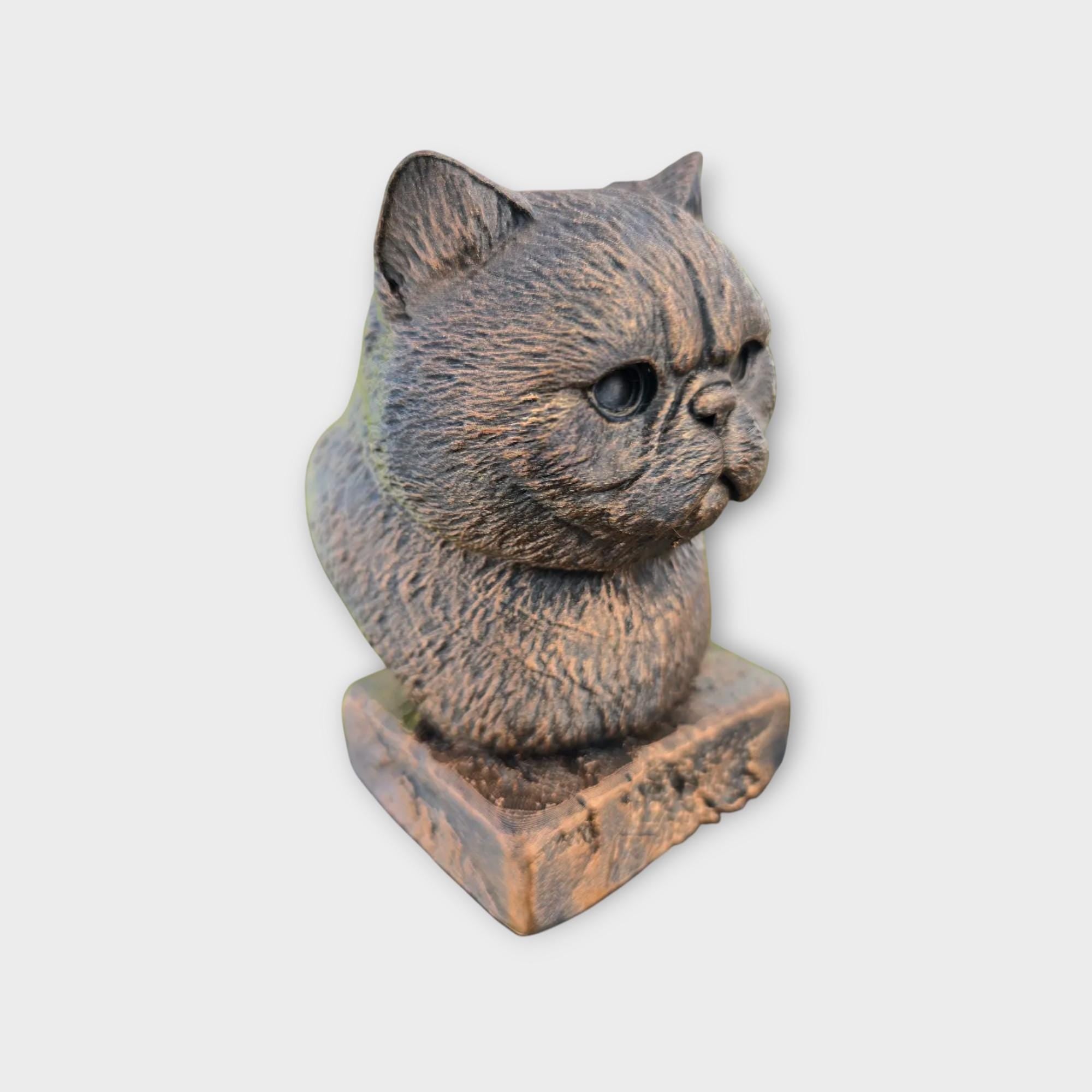 Bust of a exotic shorthair cat statue - home decor animal lover gift him her handpainted ornament