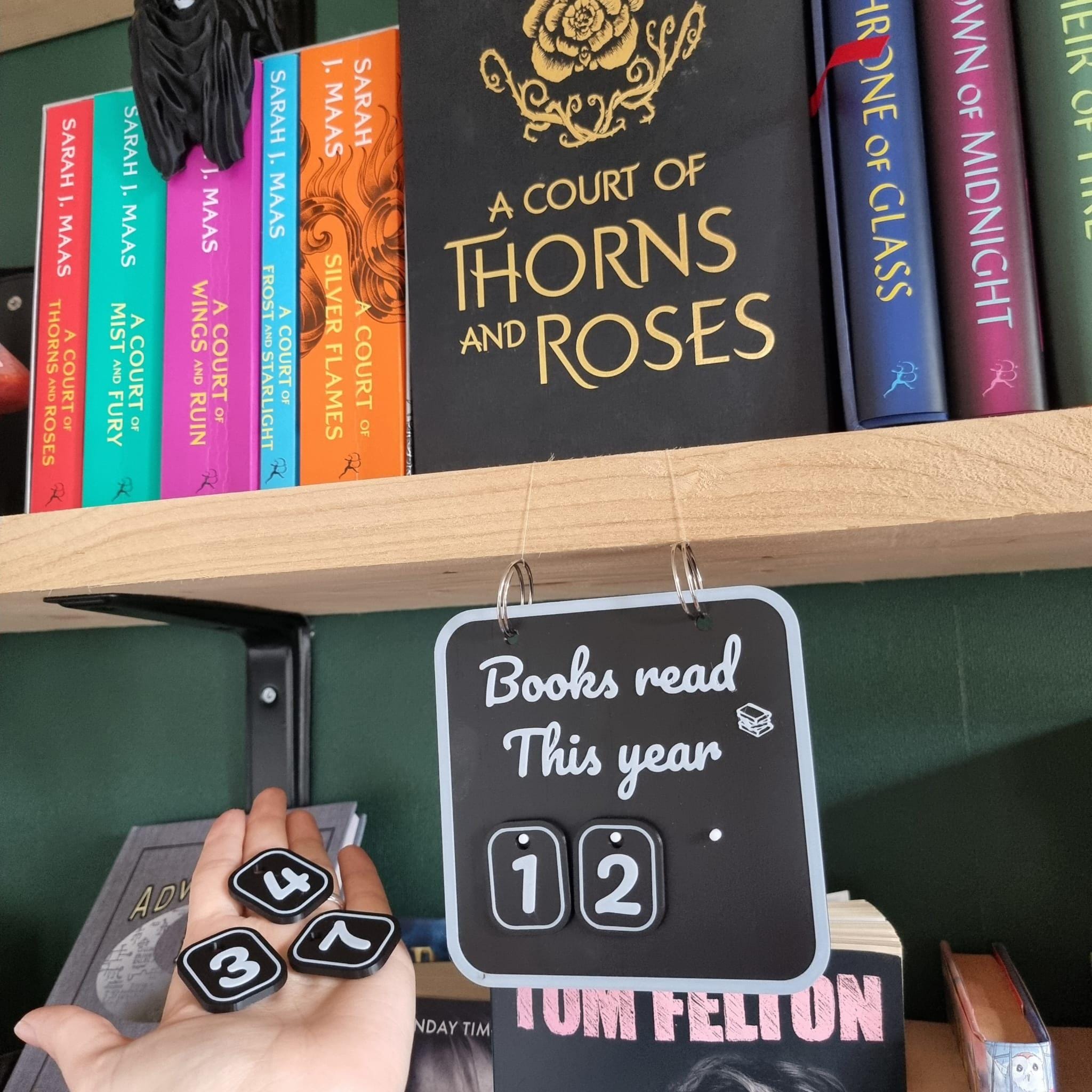 Books Read This Year Tracker – Interchangeable Number Sign for Book Lovers gift for him her