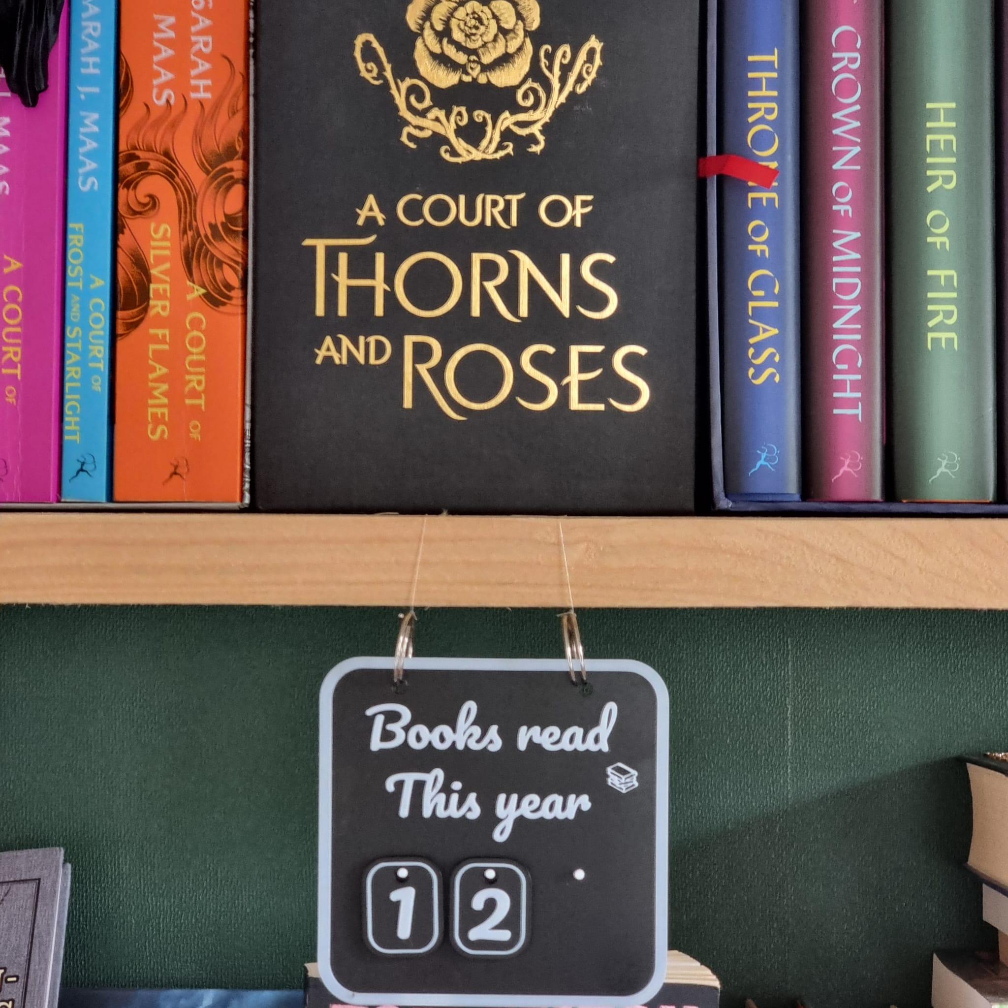 Books Read This Year Tracker – Interchangeable Number Sign for Book Lovers gift for him her