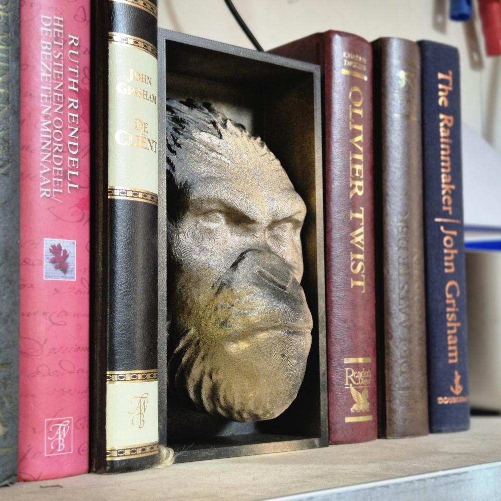 Ape Book Nook: Journey into the Planet of the Apes bookshelf decor