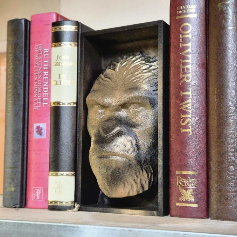 Ape Book Nook: Journey into the Planet of the Apes bookshelf decor