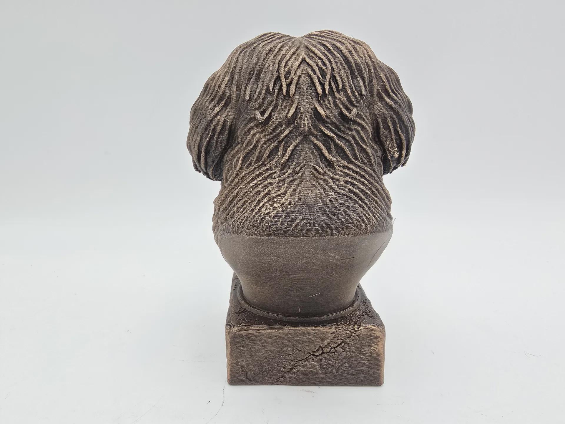 Bust of a havanese dog statue - home decor dog lover handpainted ornament