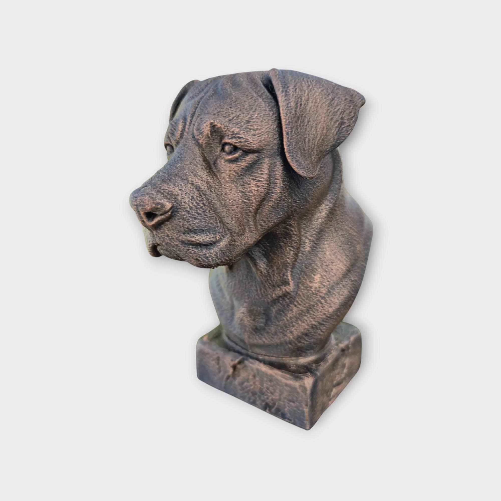 Bust of a Canarian Mastiff dog statue - home decor dog lover gift him her handpainted ornament