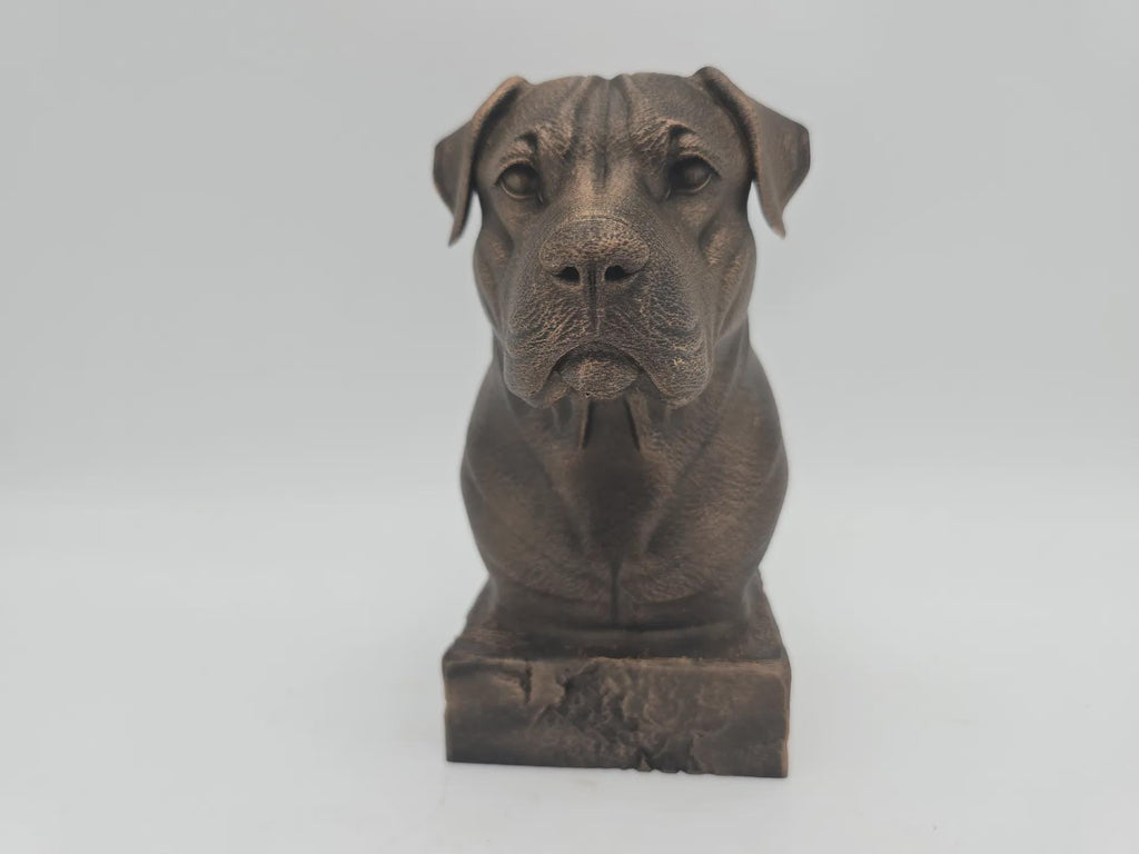 Bust of a dogo argentino dog statue - handpainted home decor dog lover gift him her ornament