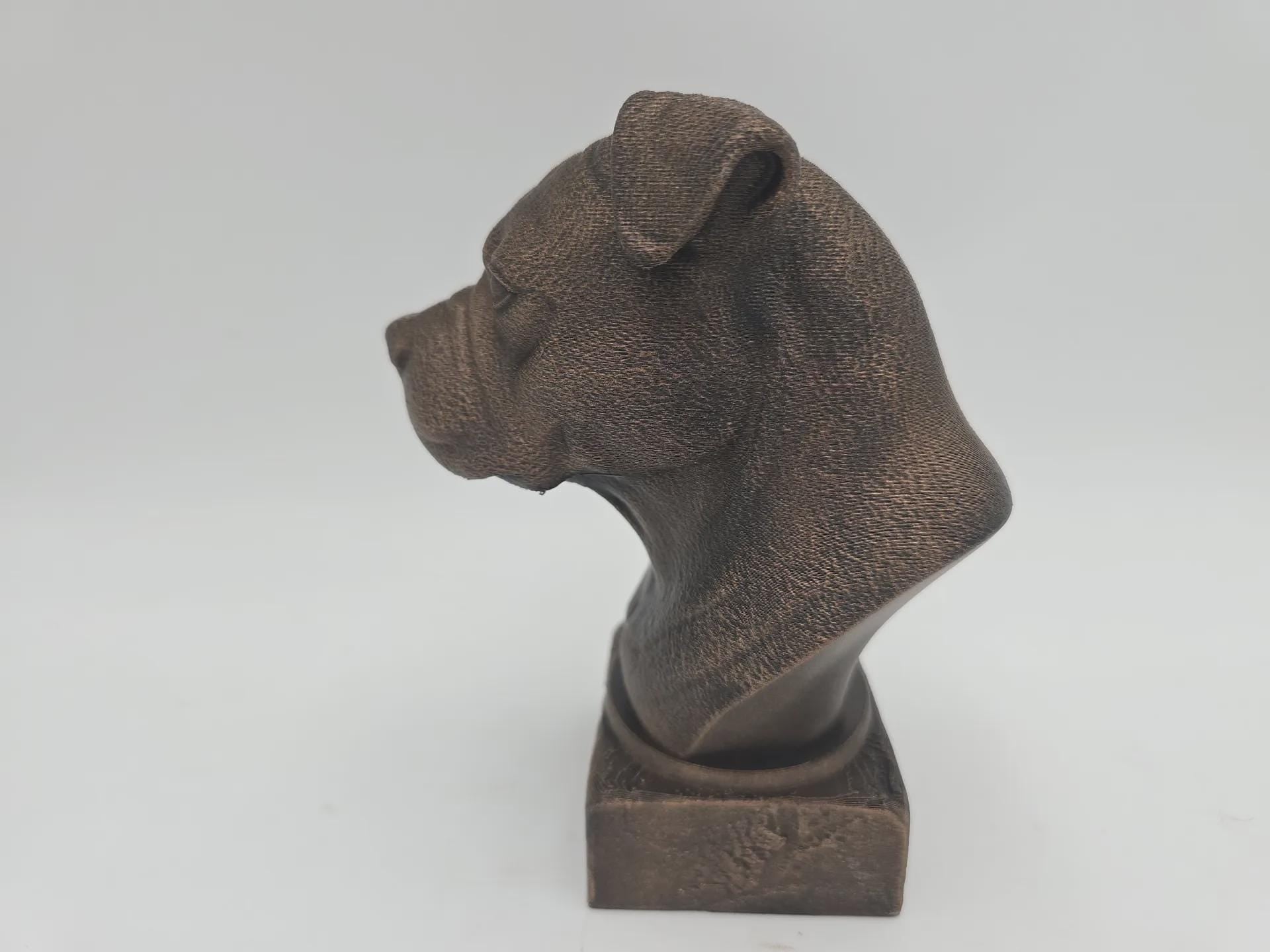 Bust of a american bully natural ears dog statue - home decor dog lover gift him her handpainted ornament