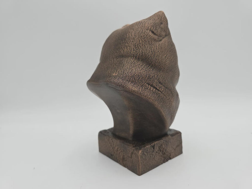 Bust of a Pomperian bust dog statue - home decor dog lover gift him her handpainted ornament