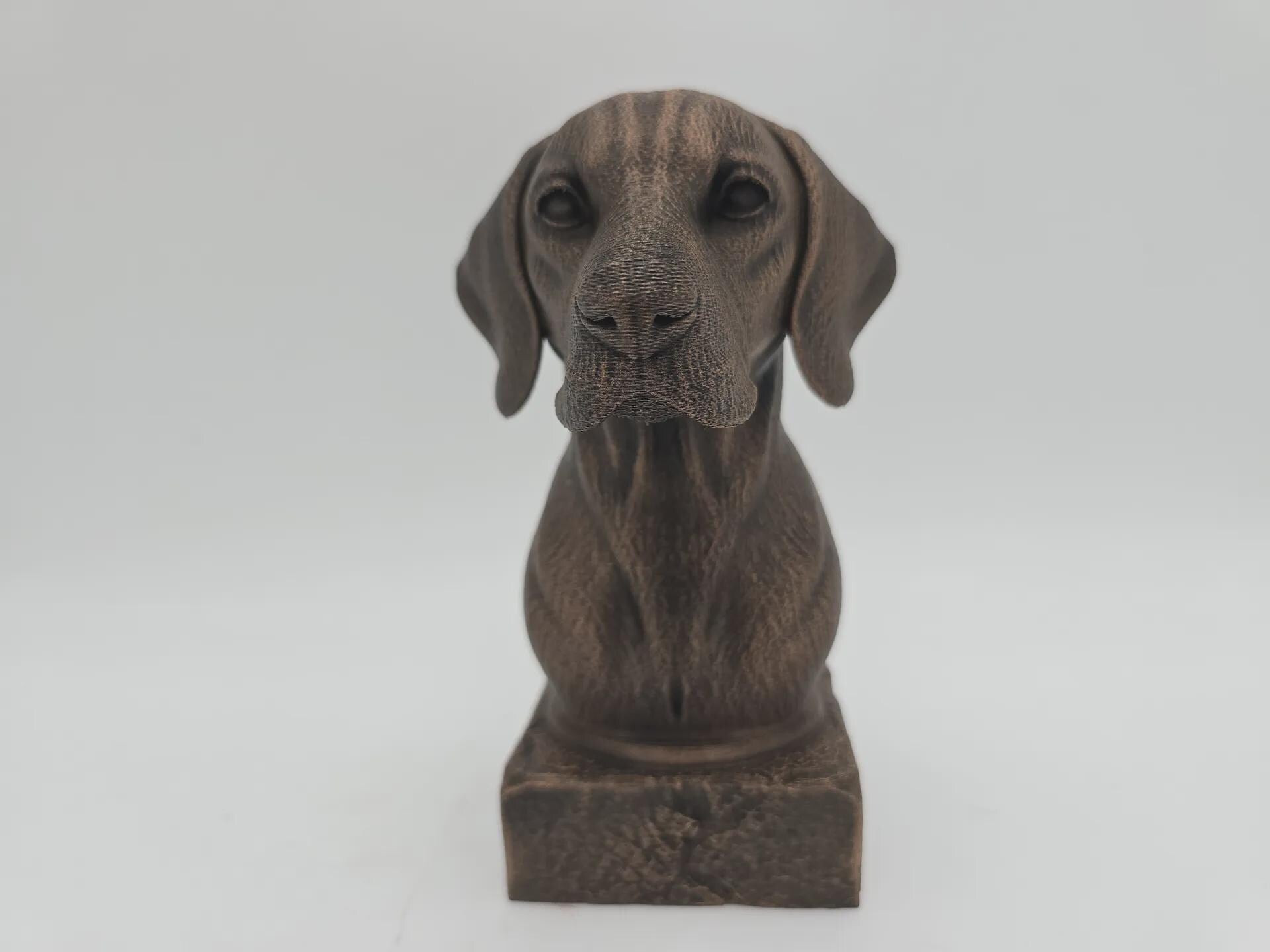 Bust of a hungarian vizsla dog statue - home decor dog lover handpainted ornament