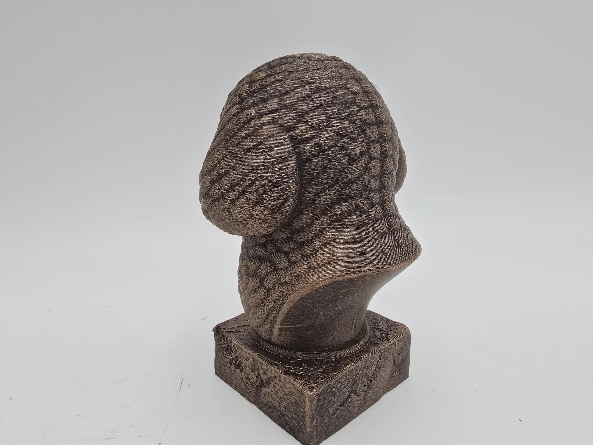 Bust of a Bison Frise dog statue - home decor dog lover handpainted ornament