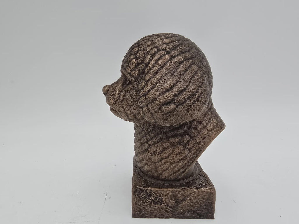 Bust of a Bison Frise dog statue - home decor dog lover handpainted ornament