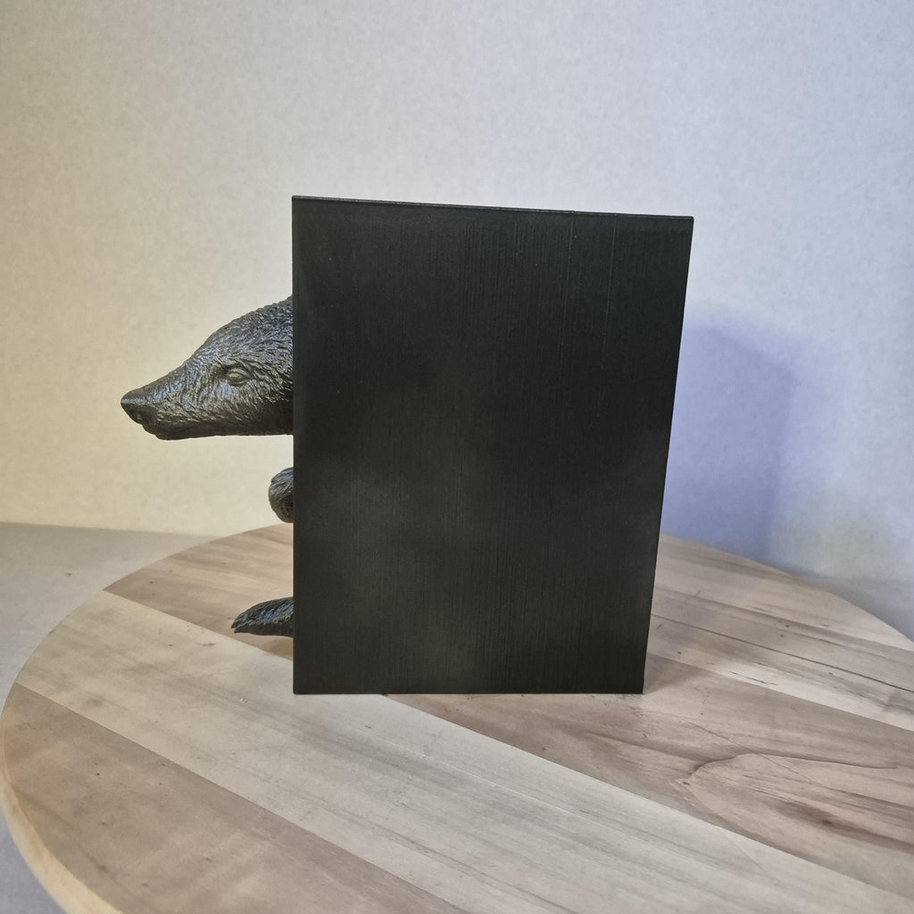 Badger Emerging -- book nook