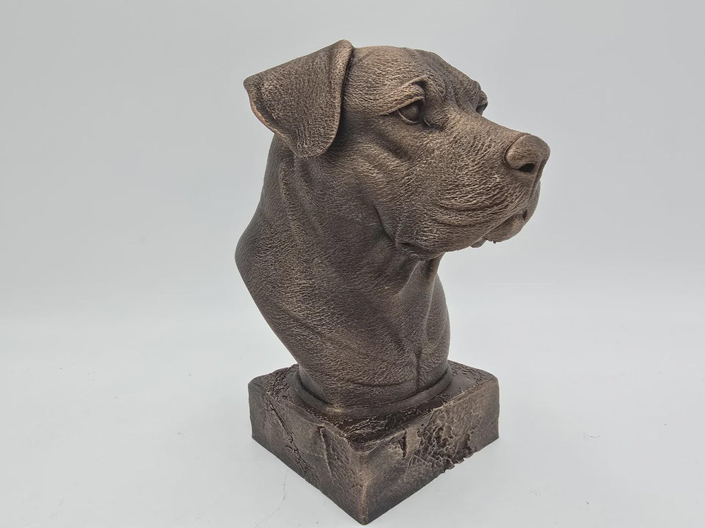 Büste einer Dogo Argentino Hundestatue - handbemalt Wohndeko Hundeliebhaber Geschenk für ihn oder sie Ornament