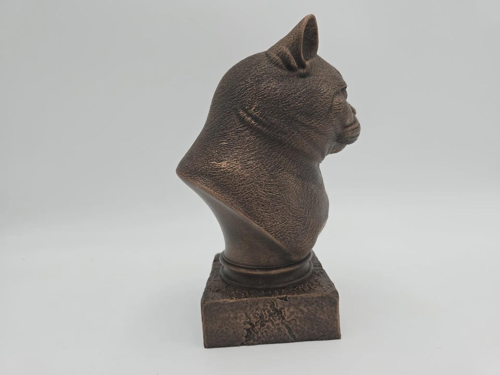 Büste einer Britisch Kurzhaar Katze Statue - Wohndeko Katzenliebhaber handbemalt Ornament