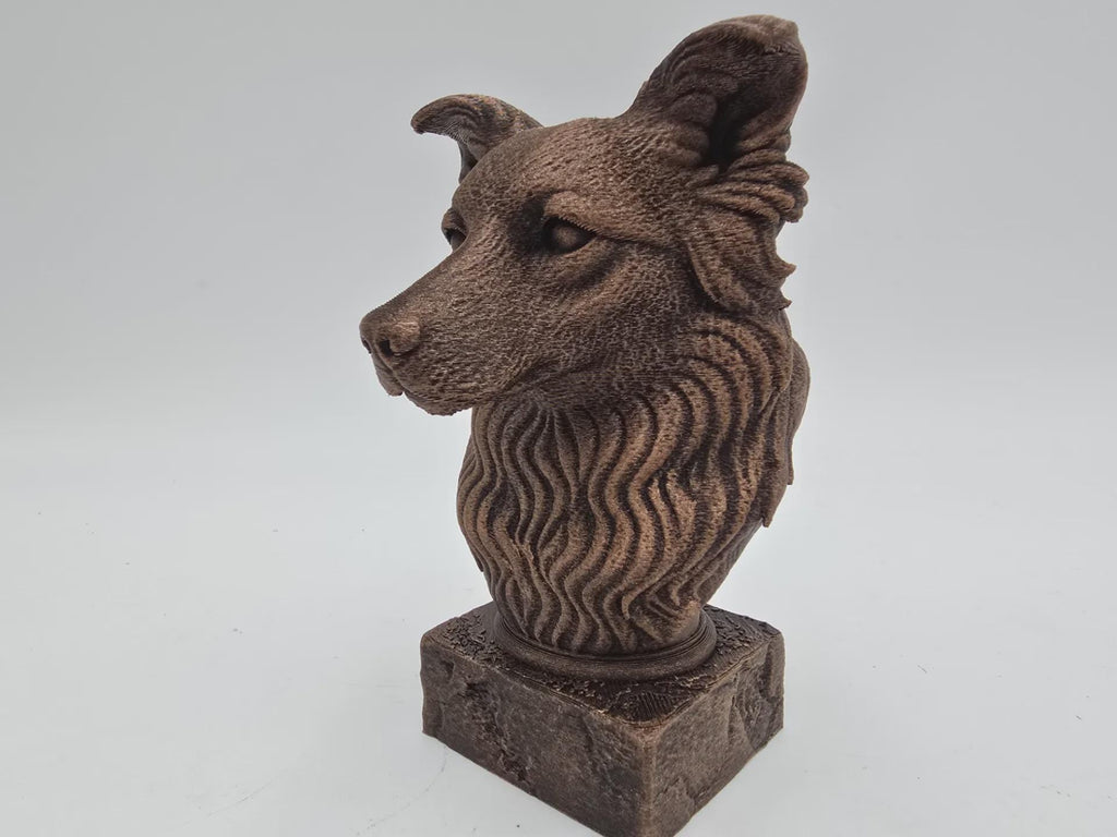 Büste einer Border Collie Hundestatue - Wohndeko Hundeliebhaber handbemalt Ornament
