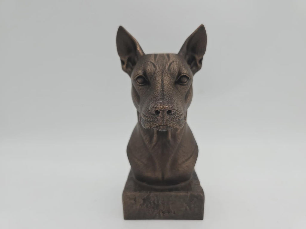 Büste einer Xolo-Hundestatue - Wohndeko Hundeliebhaber Geschenk für ihn oder sie handbemaltes Ornament