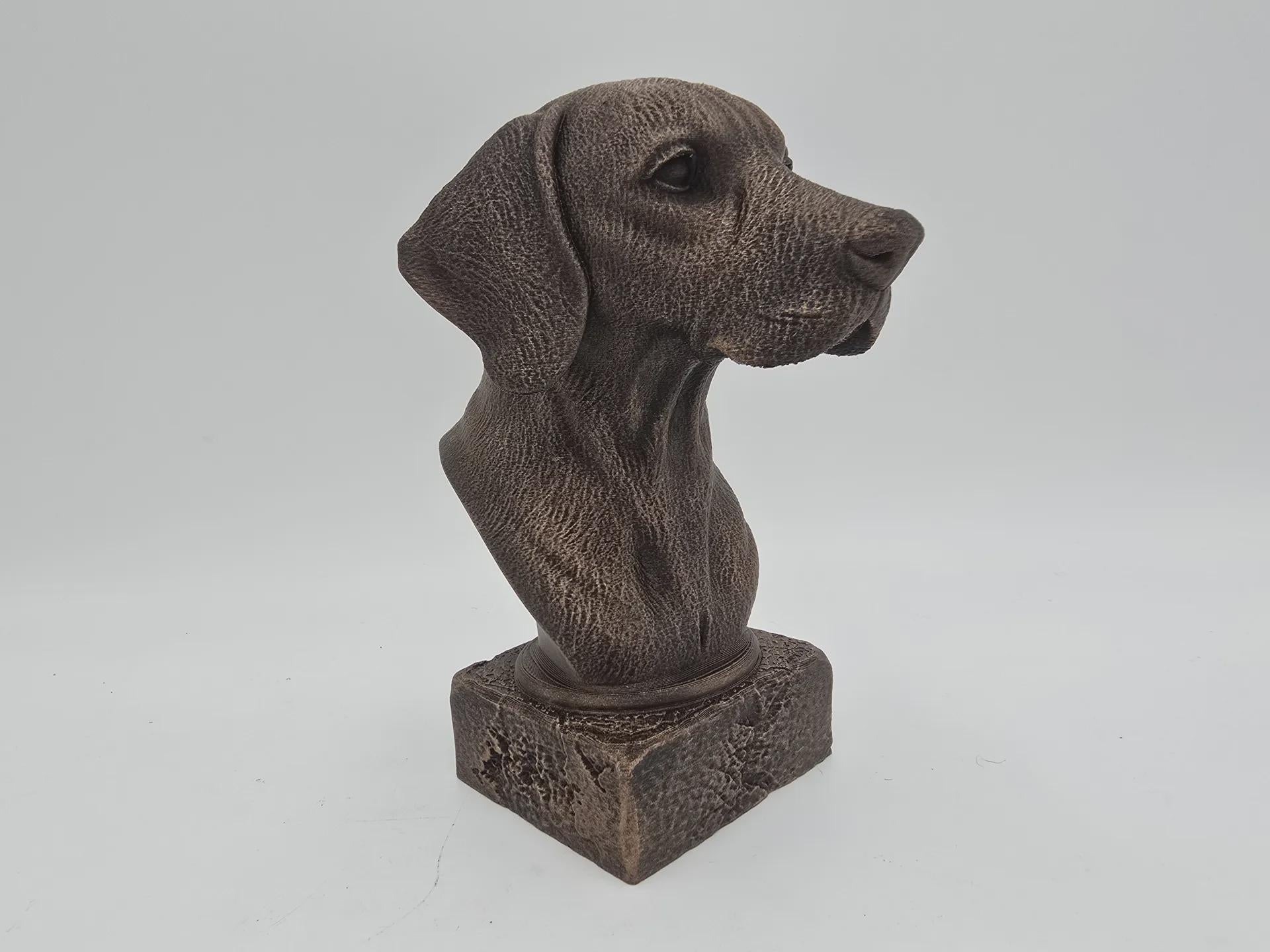 Bust of a Hungarian Vizsla Dog Statue - Home Decor Dog Lover Handpainted Ornament