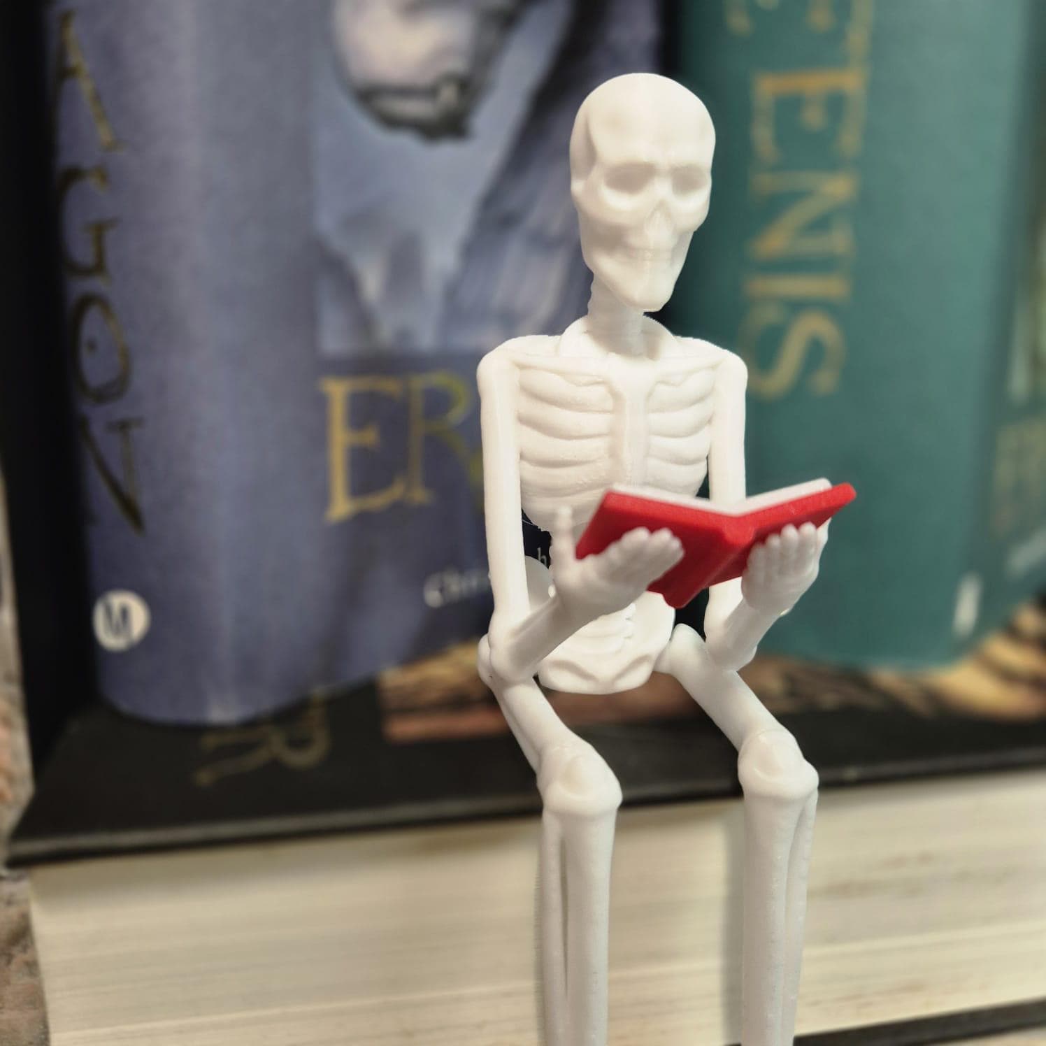 Reading Skeleton Figurine | Gothic Bookshelf Decor | Spooky Halloween Gift | Book Lover Shelf Accent | Skeleton Ornament