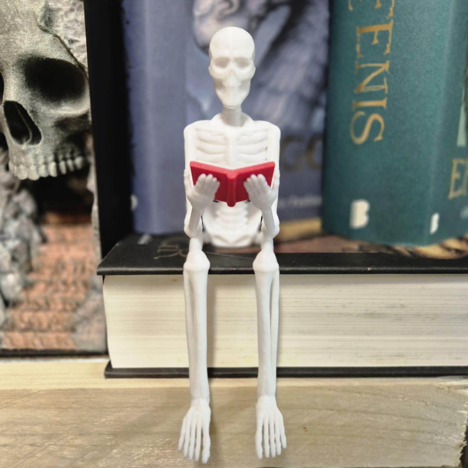 Reading Skeleton Figurine | Gothic Bookshelf Decor | Spooky Halloween Gift | Book Lover Shelf Accent | Skeleton Ornament