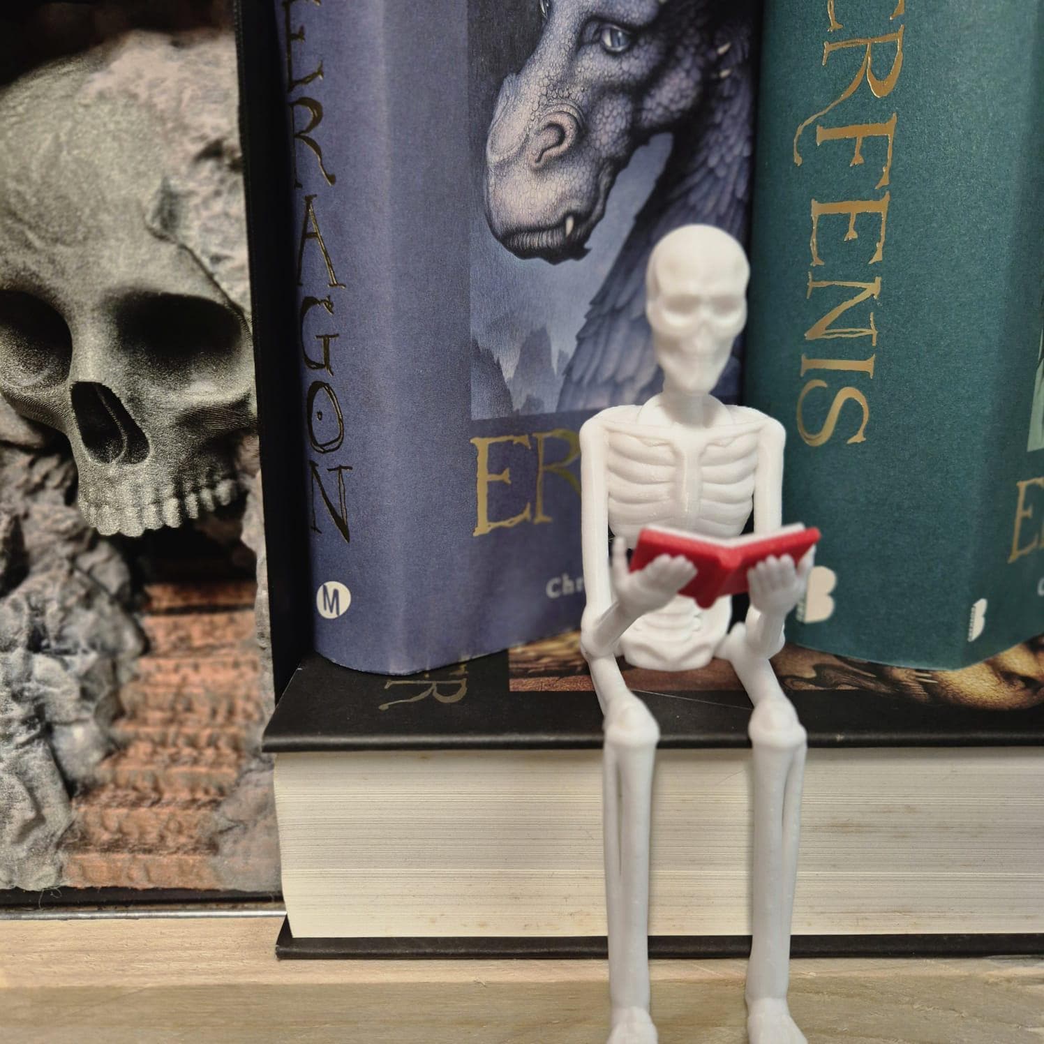 Reading Skeleton Figurine | Gothic Bookshelf Decor | Spooky Halloween Gift | Book Lover Shelf Accent | Skeleton Ornament