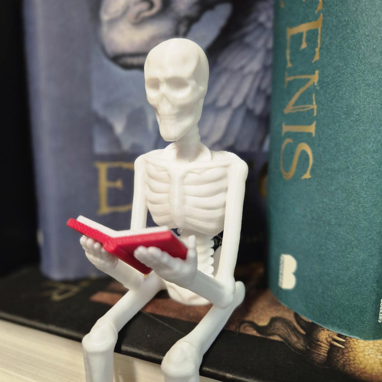 Reading Skeleton Figurine | Gothic Bookshelf Decor | Spooky Halloween Gift | Book Lover Shelf Accent | Skeleton Ornament
