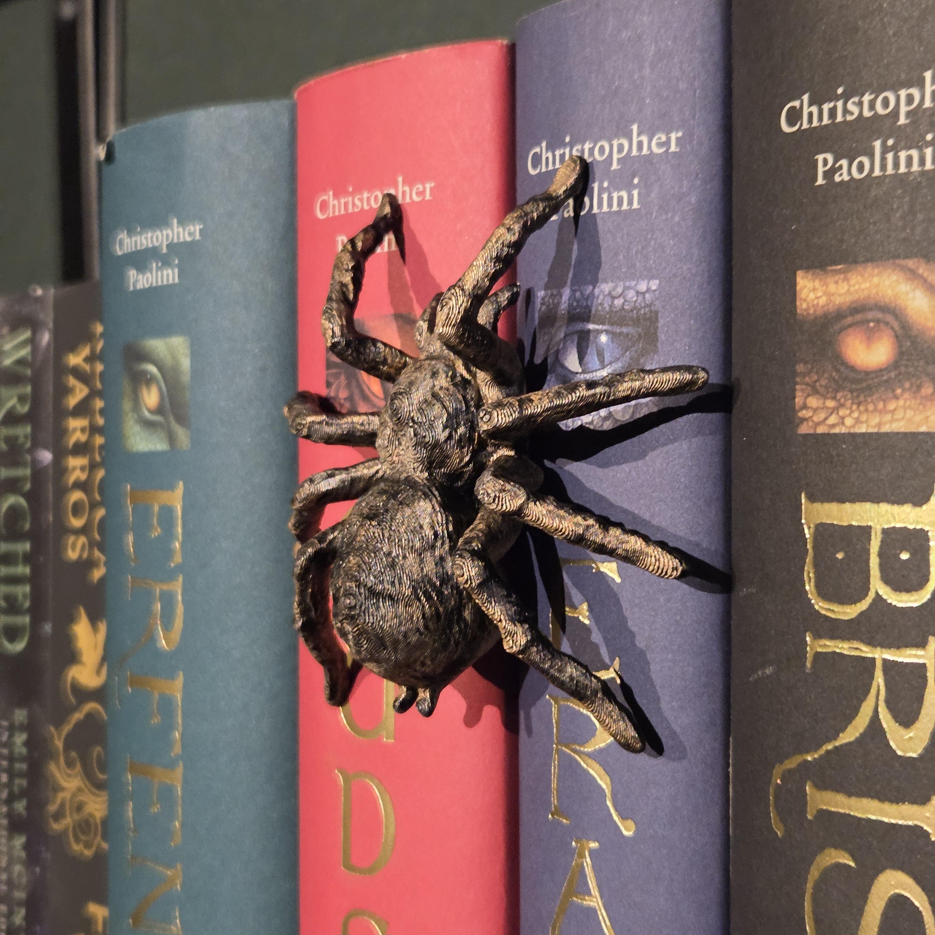Silberspinne Spinehugger – Fantasy-Begleiter, der sich um den Buchrücken schmiegt | Fantasy-Bücherregal-Wächter