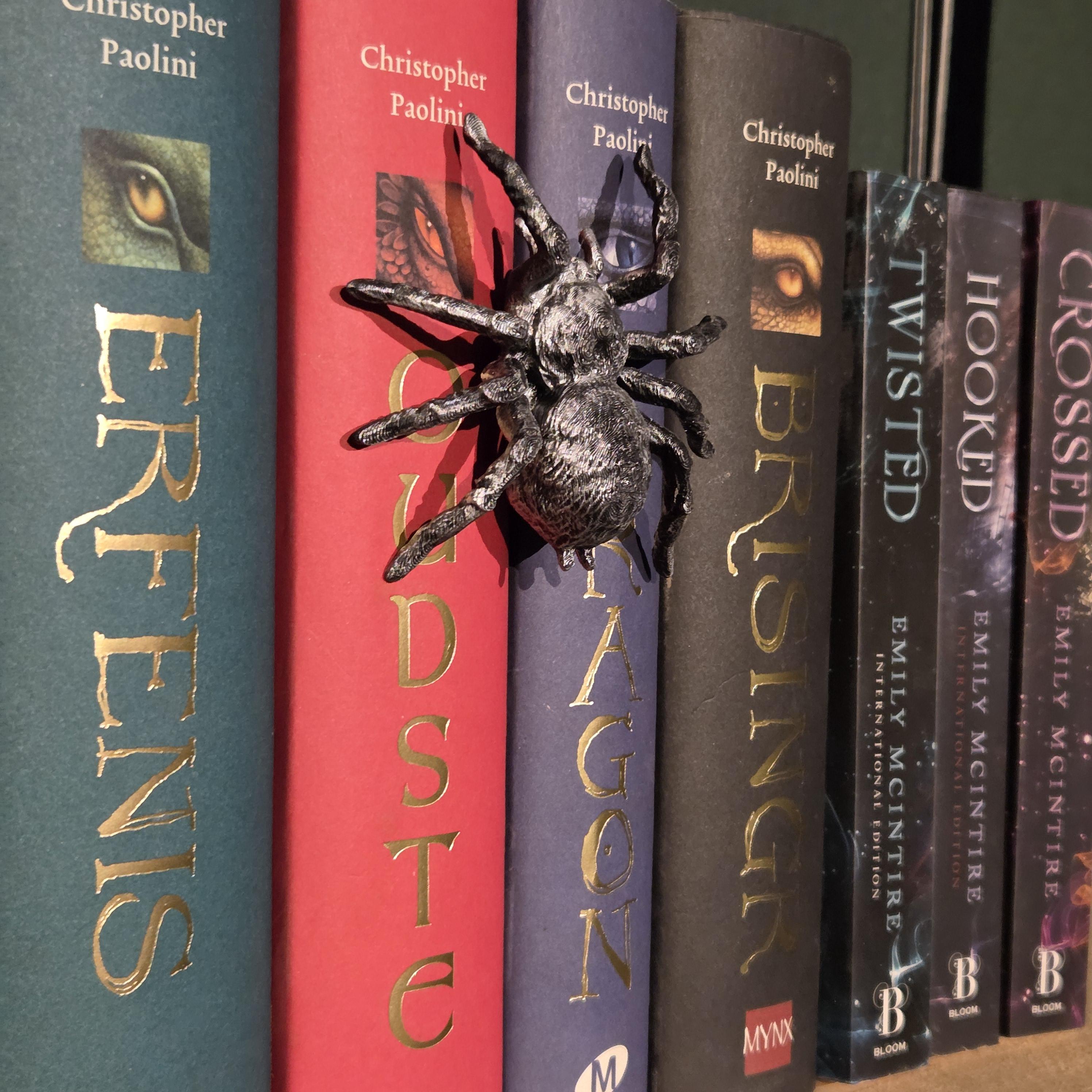 Bronze Spinne Wirbelsäulenumschlinger – Fantasy-Begleiter, der sich um den Buchrücken wickelt | Fantasy-Bücherregalwächter