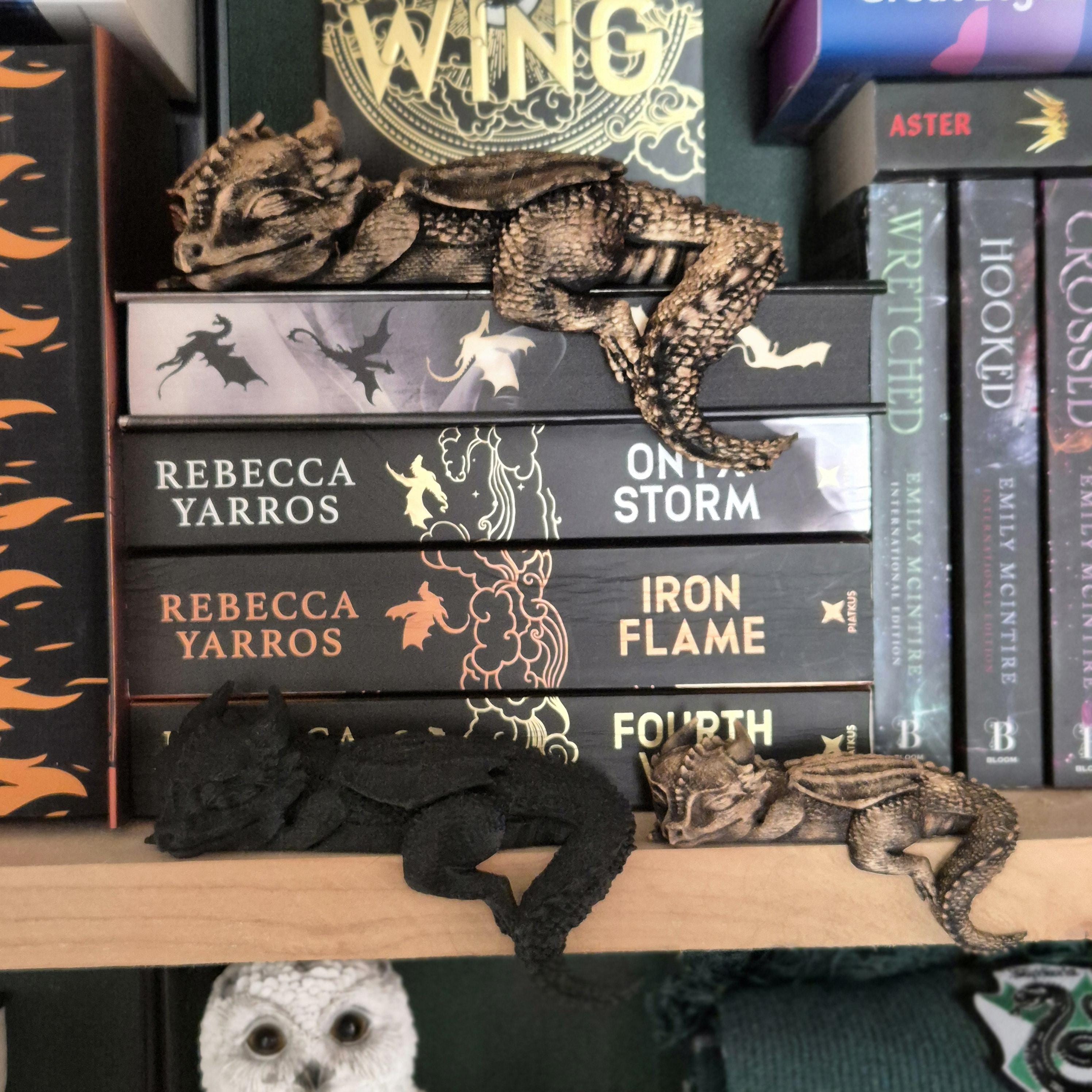 Bücherregal-Dekoration: Schlafende Andarna-Drachenfigur – inspiriert von Onyx Storm (Empyrean-Serie)