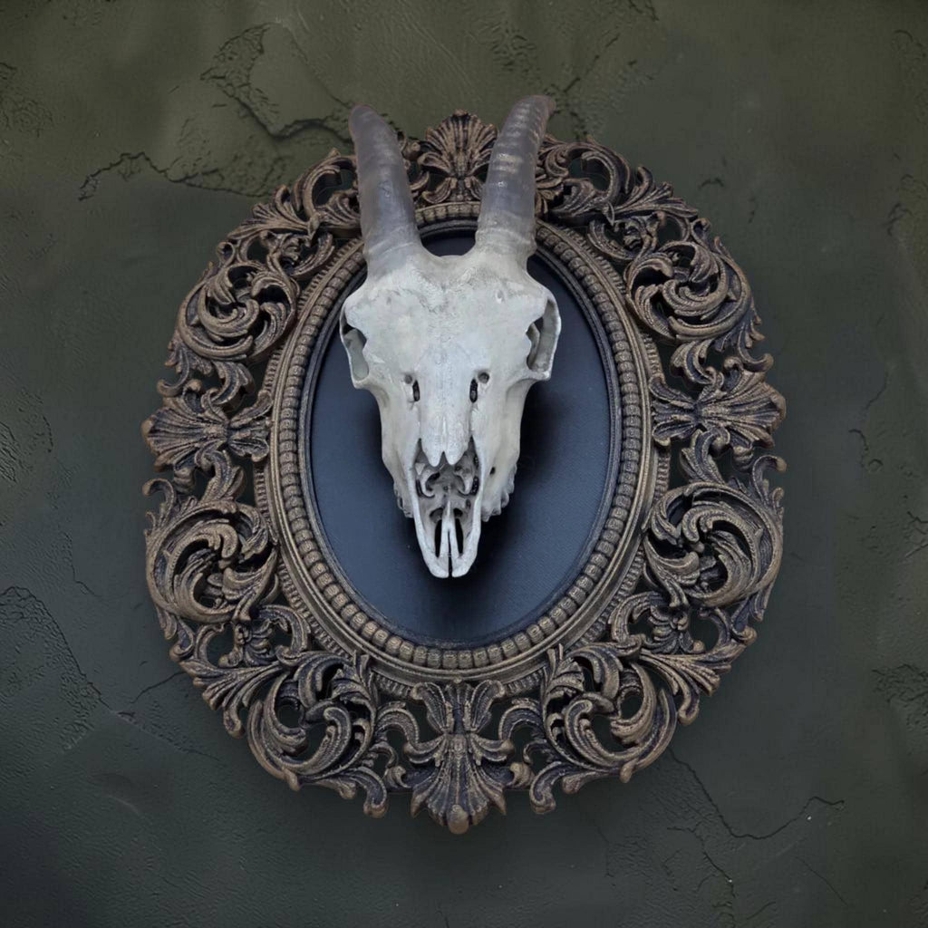 Goat skull wall plaque in baroque frame | gothic skull wall decor